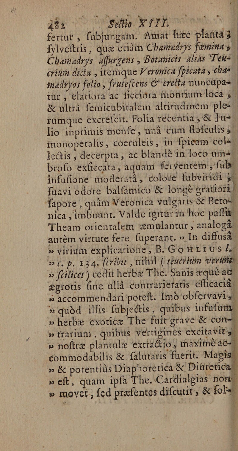 je CO HM ATTEN fertut , fabjungam. Amat hie plaat4 3 | Íylveftris , quz eciàm Cbamadrys famima $* Chamadrys: affurgeus , Botamicis altas Teu crim dida , itemque F'eronca fpicata chae madryos folio, frutefceus C eret mancüpas | tür , elatiora ac ficcióra montium loca ; | &amp; ültrà femicabitalem alticudinem ple- rümque excrélcit. Folia recentia ,&amp; Ju lio inprimis menfe, anà cum flofeulis s monopertalis , coeruleis , 1n fpteam col« lectis , decerpta , ac blandé in loco àm-4 brofo exficcara , aqaa ferventem ,'fuls infufione moderatà , colore fabviridi $- fuzvi odore balfamico &amp; long? eratiori | fapore ,quim Veronica vulgaris &amp; Betoz nica , imbuünr. Valde igitar in hoc paffit Theam orientalem xmulantur , analogá autém virtute fere. fuperant. » In diffusà. » virium explicatione, B. Go nr rus 4. » (. p. 134. firibit , nibil ( seucrhiin veru. » fiilicet) cedit herbe The. Sanis qué ac. &amp;grotis fine ullà contrariétatis efficaci. » accommendari poteft. Imó obfervavig. » quod illis fubje&amp;tis , quibus infufüm ^» herbis exotice The fuit grave &amp; con-- » trarium , quibus vertieies excitaVit'g » noftre plancale extta&amp;tio , ihaximé C4. commodabilis &amp;. falutaris fuerit. Magis » &amp; potentiüs Diaj horetica &amp; Di&amp;üretica » eft, quam ipfa ' he. Cardialgias non » movet , fed prafentes difcurit ; &amp; fols