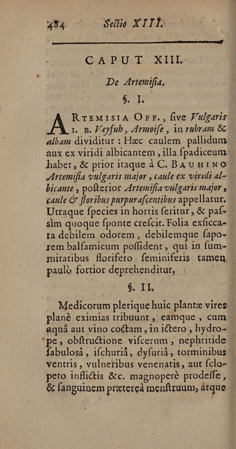 4*4 0 coSed XIINo- CA PUE XIIL^/« De Arteutfia. $. I. | RrEMISIA Orr., five Fulgaris j 1. B. F'eyfub , Arimoife , Yn vubram 8c albam dividitur : Hac. caulem. pallidum: aux ex viridi albicantem , illa fpadiceum; habet, &amp; prior itaque à C. Bau u1N OQ. Jrtemifia vulgaris major ; caule ex viria al- bicante , pofterior Zfrtemifia vulgaris major , caule C floribus purpurafcentibus appellatur, Utraque fpecies in hortis feritur , &amp; paf- sim quoque fponte crefcit. Folia exficca- ra debilem odorem , debilemque fapo- rem balfamicum poffident , qui in fum- mitatibus florifero. feminiferis tamen, paulo fortior deprehenditur, | | $. IL .. Medicorum plerique huic plante vires plané eximias tribuunt , eamque , cum. aquá aut vino coCtam , in ictero , hydro- 'pe; obftru&amp;ione vifcerum , nephritide fabulosà, ifchurià, dyfurià, torminibus ventris , vulneribus venenatis, aut fclo- peto infli&amp;is &amp;c. magnoperé prodeffe , &amp; fanguinem preterea menftruum; atque ,