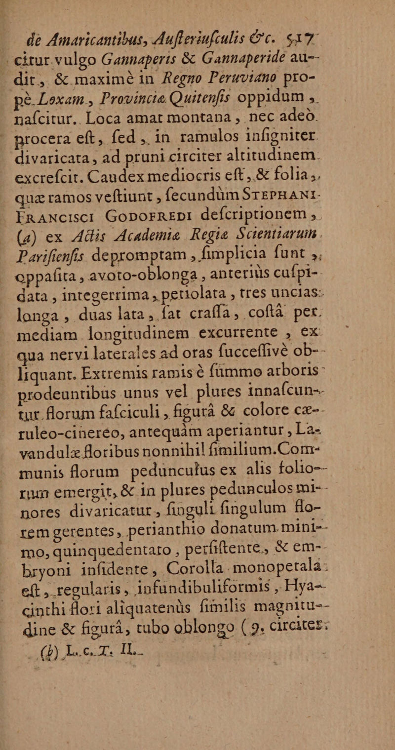 - citur. vulgo Gannaperis &amp; Gannaperide auc- dit, &amp; maxime in Aeggzo Peruviano pro- pe. Lexam., Provincie. Quitenfis oppidum ,. nafcitur.. Loca amar montana , nec adeo. procera eft, fed , in ramulos infigniter. divaricata , ad pruni circiter altitadinem. excrefcit. Caudex mediocris eft,.&amp; folia; quz ramos veftiunt , fecundum SrePRAN1- ERANciscI Gopornzpi defcriptionem ,. (a) ex Adis Academie Regie Scientiartun. Pavifienfis depromptam , fimplicia funt ,, oppafita, avoto-oblonga , anteriüs cufpi-. data , integerrima , petiolata , tres unclas- longa , duas lata , fat craffa, coftà per. mediam longitudinem excurrente , ex: qua nervi laterales ad oras fucceffivé ob-- liquant. Extremis ramis é fümmo arboris: prodeuntibus unus vel plures innafcun-- tur. florum fafciculi , figurá &amp; colore cx-- ruleo-cineréo, antequàám aperiantur , La- vandulzfloribus nonnihil! fimilium.Com- munis florum pedünculus ex alis folio-- rum emergir, &amp; in plures pedunculos mi--- nores divaricatur, finguli fingulum flo- rem gerentes, perianthio donatum. mint-- mo, quinquedentaro , perfiftente,, &amp; em-- bryoni infidente , Corolla: monopetala: e(t , regularis, 1n fündibuliformis , Hya-- cinthi Hori aliquatenüs fimilis magnitu-- dine &amp; figurá, tubo oblongo ( 2 circiter: . (f) Lc. IL. nETM