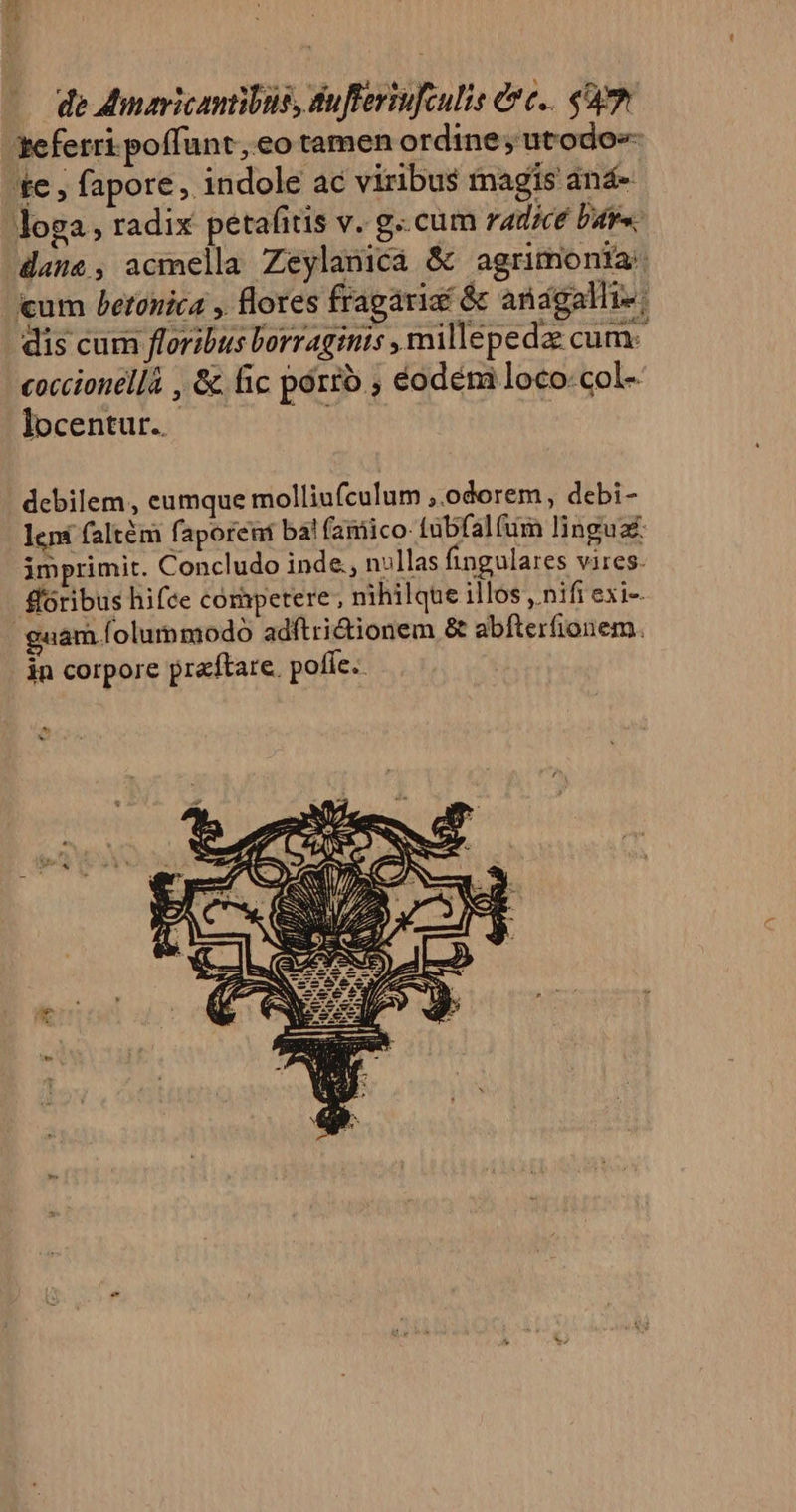 teferri poffunt, eo tamen ordine, utodos- 'te , fapore,. indole ac viribus rnagis aná- loga , radix petafitis v. g..cum rad/ce Pao. dame, acmella Zeylanica &amp; agrimonia:. um betonica , flores fragariaf &amp; andgalli-: dis cum floribus orraginis , millepeda: cum- coccionellà , &amp;. fic pórró., éodemi loco-col- locentur..- debilem, eumque molliufculum ;.odorem, debi- lens faltém faporeni ba! faimico- tubfalfum lingua: imprimit. Concludo inde, nullas fingulares vires. foribus hifce competere , nihilque illos , nifi exi- guam folummodo adftri&amp;ionem &amp; abíterfionem. in corpore pra'ftare. pofie..