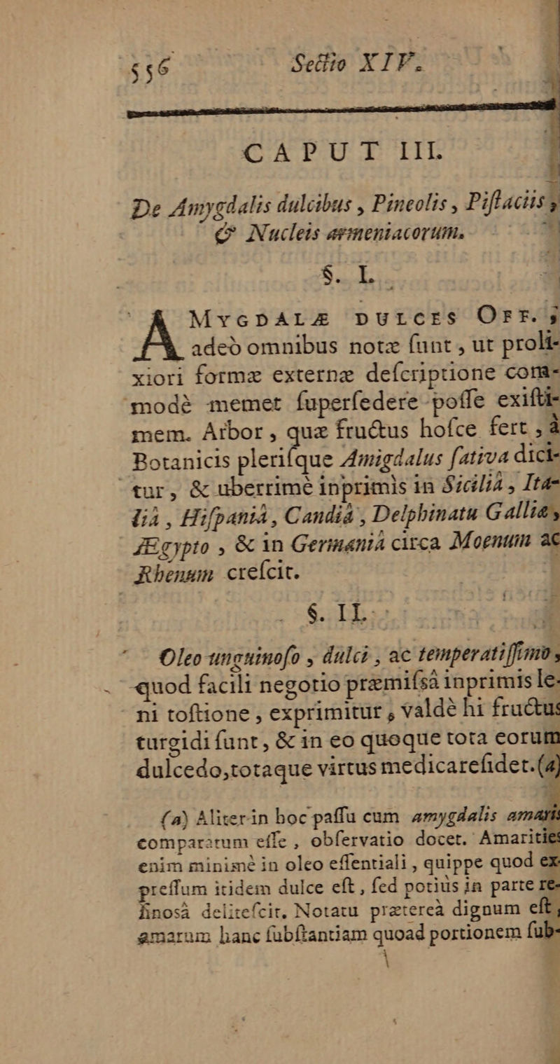 CAPU T III | De Aniygdalis dulcibus , Pineolis , Piftuciis y € Nuceis aemeniacortum. * Lp ' Á MvcpALE purcrs Orr.; | adeo omnibus notz funt , ut prolt- xiori formz externe deícrpuone come modé memet fuperíedere -poffe exift mem. Arbor , quz fru&amp;us hofce fert , à Botanicis E ied Amigdalus fativa dicte ^tur, &amp; uberrime inprimis in Sicilia , Ita- UA , Hifpania , Candia , Delphinatu Gallia, Egypto , &amp; in Germania citca Mogntum ac JAhenum crefcit. T $. I I: : : Oleo tnguinofo , dulci , ac temperatiffim s . -quod facili negotio premifsà inprimis le: ni toftione , exprimitur , valdé hi fruc&amp;us turgidi funt, &amp; in eo quoque tota eorum dulcedo,totaque virtus medicarefidet.(4 (a) Aliterin hoc paffu cum amygdalis amati comparatum effe , obfervatio docet. Amariti enim minimé in oleo effentiali , quippe quod ex preffum itidem dulce eft , fed potius ja parte re- finosà delitefcit, Notatu. pratereà dignum elt, amarum hanc fubftantiam quoad portionem fub: