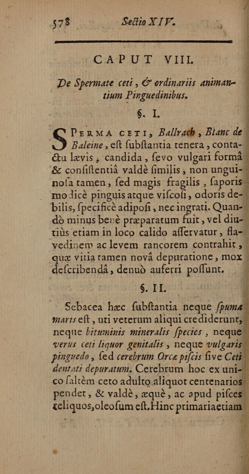 CAPUT VIIL - De Spermate ceti , € ordinariis animan tuum Pinguedinibus. $. I. PERMA crrI, Ballrach , Blanc de Baleine , eft (ubftantia tenera , conta- €&amp;u levis , candida , fevo vulgari formá: &amp; confiftentá valdé fimilis , non ungui- noía tamen , fed magis fragilis , faporis: mo Jicé pinguis atque viícofi, odoris de-. bilis, fpecificé adipofi , nec ingrati. Quan- dó minus beré preparatum fuit , vel diu- | tiüs etiam in loco calido affervatur, fla-.— vedinem ac levem rancorem contrahit , | quz vitia tamen nová depnratione , mox | defcribendà , denuó auferri poffunt. . 1 $. II. - Sebacea hec fubftanua neque fpuma. mars eft , uti veterum aliqui crediderunt; neque bitmminis mineralis fpecies , neque; verus ceti liquor. genitalis , neque vulgaris pinguedo , fed cerebrum Orca pifcis five Cet dentati depuratum, Cexrebrum hoc ex uni- «o faliém ceto adulto aliquot centenarios pendet, &amp; valdé, zqué , ac apud pifce icliquos,oleofum eft. Hinc primariaetia E 