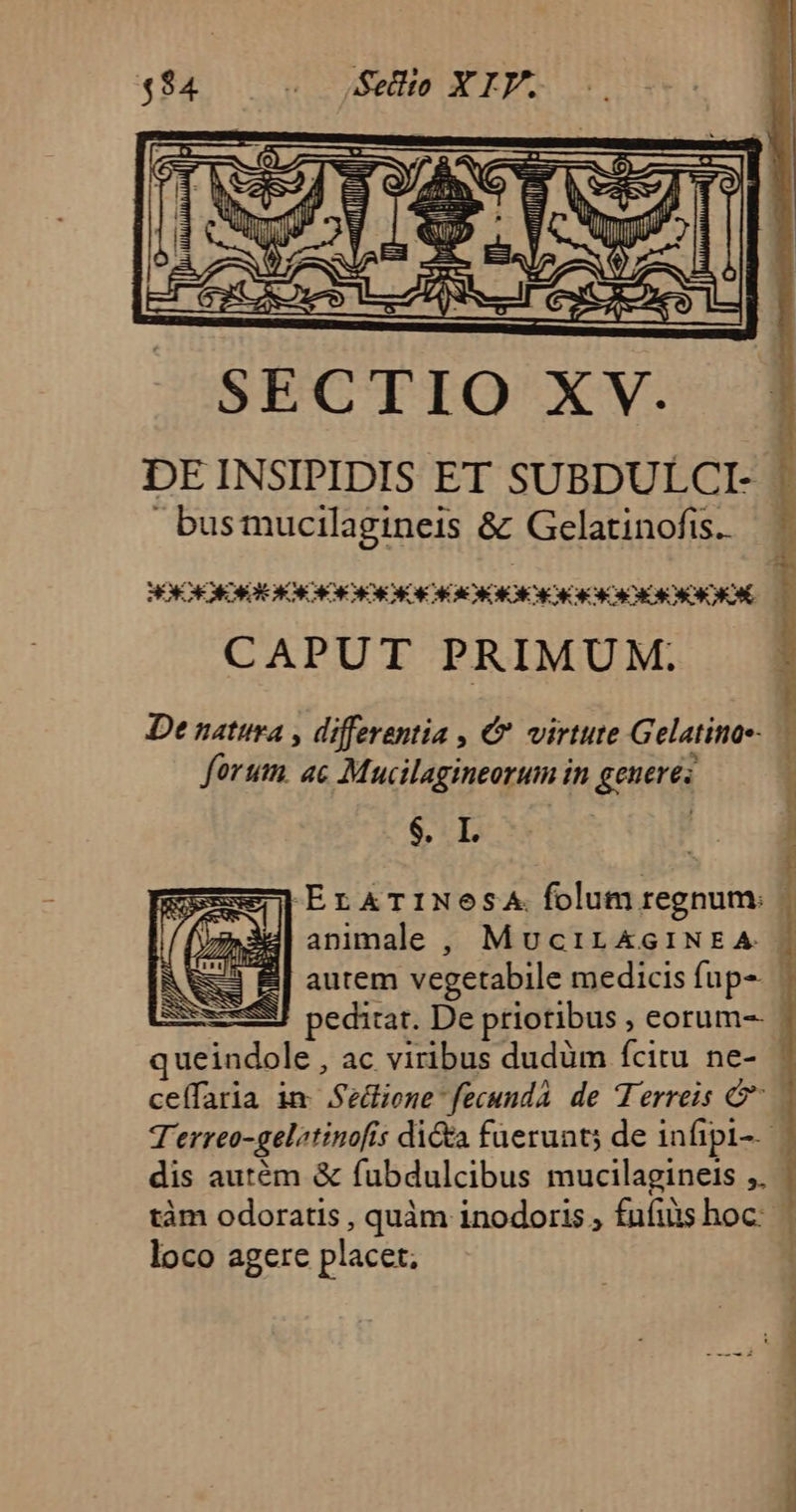 busmucilagineis &amp; Gelatinofis.. CAPUT PRIMUM. De natura , differentia , € virtute Gelatine forum. ac Mucilagineorum in genere $. IL. queindole , ac viribus dudüm fcitu ne- dis autém &amp; fubdulcibus mucilagineis ;. loco agere placet; Jiu, Dm s tma, om S, mh nd