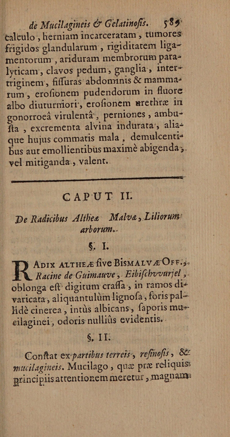 talculo , herniam incarceratam , tümores frigidos glandularum , rigiditatem liga- mentorum , ariduram membrorum pata lyticam, clavos pedum, ganglia, inter^ triginem, &amp;ffuras abdominis &amp; mamma^ rum, erofionem pudendorum in fluore - elbo diuturmort, erofionem mwrethre in gonorrocá virulenti', perniones ; ambu- fla , excrementa alvina indurata, alia que hujus commatis mala , demulcenti- bus aut emollientibüs maximé abigenda;. vel mitiganda., valent.. | CAPU T II. De Radicibus Alíhes— .Maloa , Lilioruim: arborum... | 5. I. | Aprx At THEE five BisuALv Orr. Racine de Guimauve y. Eibifthovarjel ,..— oblonga eft: digitum craffa, in ramos di varicata, aliquantulüm lignofa ,forispal-— |. lidé cinerea , intüs albicans, faporis mue eilaginei, odoris nullis evidenus.. Sall Conftat ex partibus terreiés vefiiefis , &amp; mtcilagineis. Mucilago , quz pr&amp; reliquis: principiisattentionem meretur ; magnae