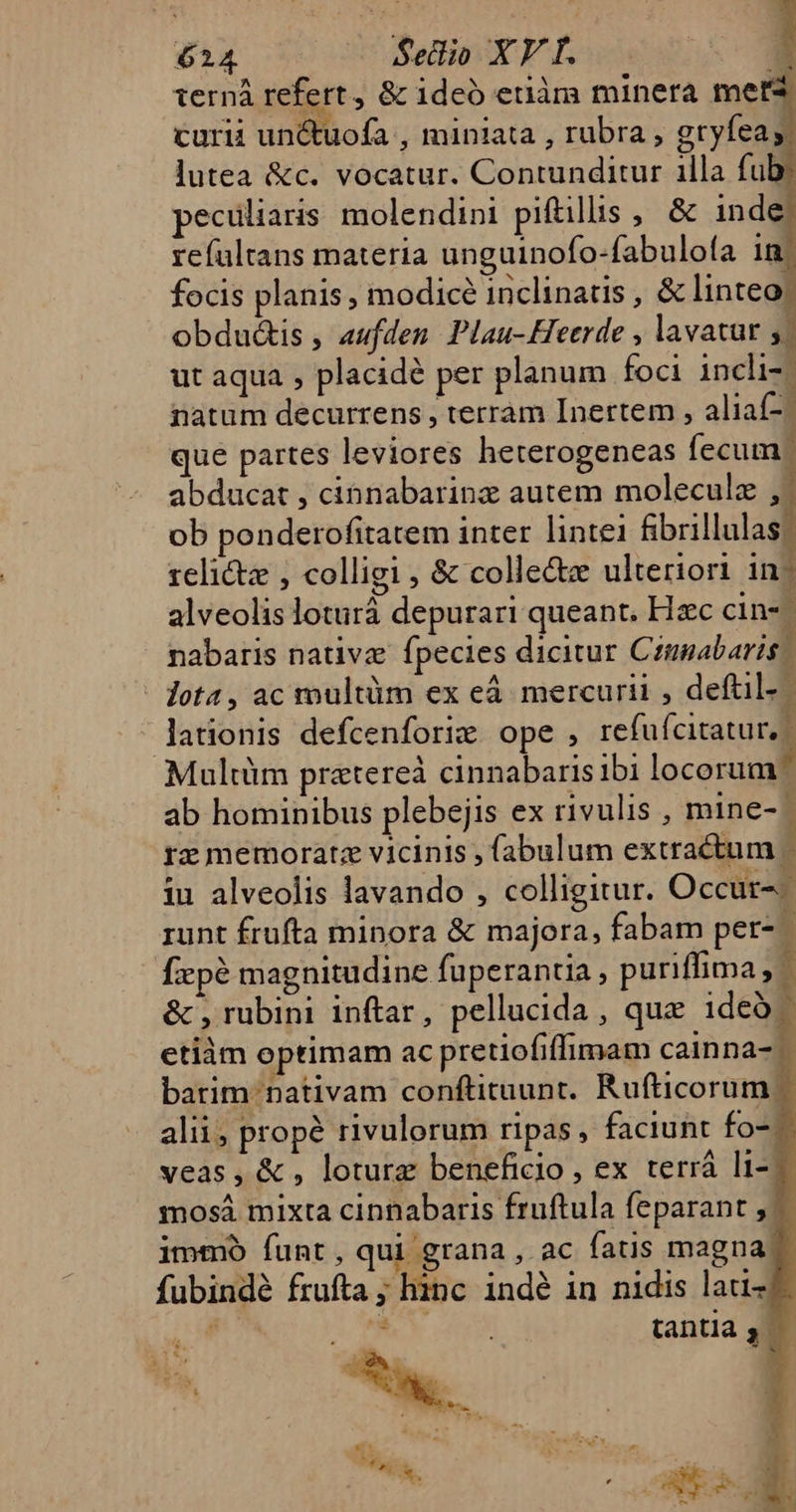 terná refert , &amp; ideo etiàm minera met curii un&amp;tuofa , miniata , rubra , gryfeay lutea &amp;c. vocatur. Contunditur illa fub peculiaris molendini pifilis, &amp; inde refultans materia unguinofo-fabulofa in focis planis, modice inclinatis , &amp; linteo: obdud&amp;is , aufden. Plau- Heerde , lavatur , ut aqua , placidé per planum foci incli-. natum decurrens , terrám Inertem , aliaí- que partes leviores heterogeneas fecum: abducat , cinnabarinz autem moleculz , ob ponderofitatem inter lintei fibrillulas: relicte , colligi , &amp; collecte ulteriori in- alveolis loturá depurari queant. Hac cin- nabaris native fpecies dicitur Cingabaris lot4, ac multüm ex eà mercurii , deftil- lationis defcenforie ope, refufcitatur, Multüm pratereà cinnabaris ibi locorum: ab hominibus plebejis ex rivulis , mine rz memorate vicinis , fabulum extractum « iu alveolis lavando , colligitur. Occur-- runt frufta minora &amp; majora, fabam per- Íxpé magnitudine fuperantia , puriffima , 1 &amp; , rubini inftar, pellucida , que ideo - etiàm optimam ac pretiofiffimam cainna- ? barim nativam conftitaunt. Rufticorum | alii, propé rivulorum ripas, faciunt fo-- veas, &amp; , loture beneficio , ex terrá li-— mosà mixta cinnabaris fruftula feparant ,.— immo funt, qui grana , ac fatis magna fubindé frufta ; hinc. indé in nidis laui- gs Wo dd tantla 3 UN ^ u* i  $?Nu 3 ; z3 74 1 mus 3 E T ] TUM M , , 1s , (P