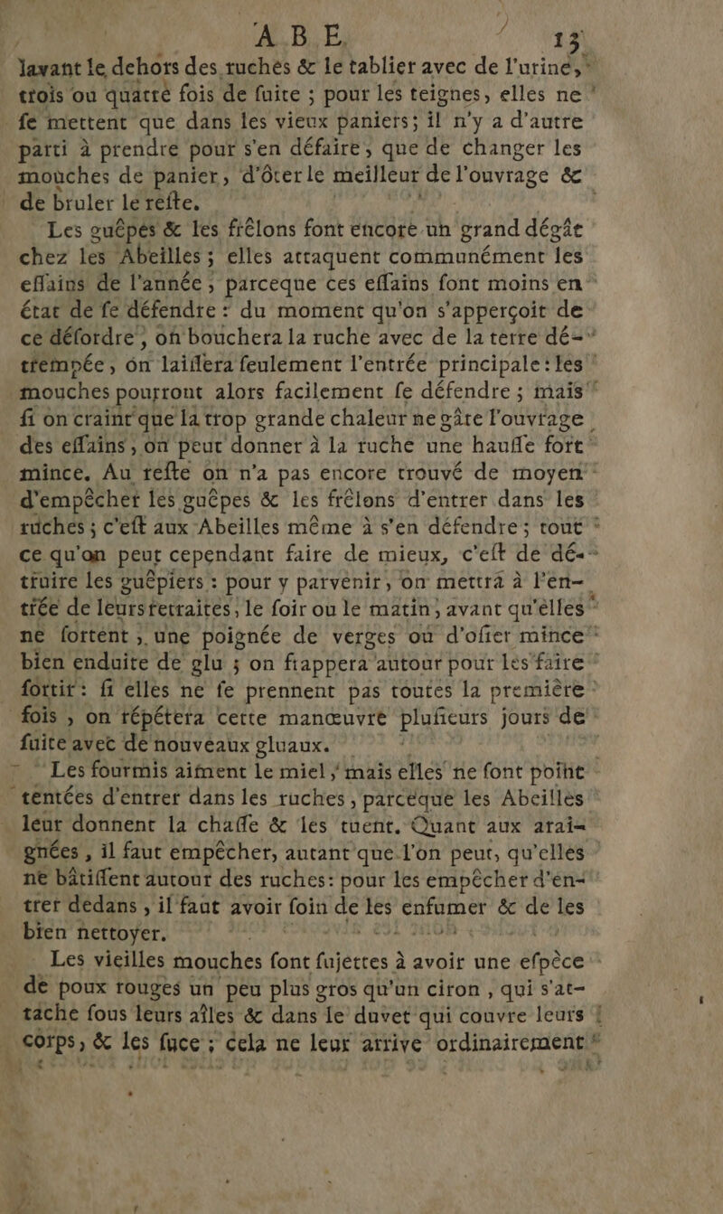 ABE. QT levant le dehors des ruchés &amp; le tablier avec de l'urine, trois ou quatt fois de fuite ; pour les teignes, elles ne ! fe mettent que dans les vieux paniers; il n'y a d'autre paiti à prendre pour s'en défaire, que de changer les mouches de panier, d'ôterle meilleur de l'ouvrage &amp; de bruler lé refte, Les guêpés &amp; les frêlons font encore uh grand dégie chez les Abeilles ; : elles attaquent communément (es efains de l'année, parceque ces effaïns font moins en état de fe défendre : du moment qu'on s'apperçoit de ce délordre , on bouchera la ruche avec de la terre dé- trémpée, ôn laiflera feulement l'entrée principale: lés : mouches pourront alors facilement fe défendre ; maïs” fi on crainr que la trop grande chaleur ne gâre louvrage des effains , on peur ‘donner à là Tuéhé”une haulle foft! mince. Au refte on n’a pas encore trouvé de moyen: d'empêcher les guêpes &amp; Les frélons d'entrer dans les ruches ; c'eft aux Abeilles même à s’en défendre; tout * ce qu'on peut cependant faire de mieux, © ’eft de dé-- truire les guépiers : : pour y parvenir, on mettra à l'en— tiée de leursfetraites, le foir ou le matin, avant qu'elles * ne fortént ; une poignée de verges où d’ofier mince: bien enduite de glu ; on fappera autour pour les'faire * fottir : fi elles ne fe prennent pas toutes la première “fois , on fépétera certe manœuvre pluñeurs jours de” fuite avec de nouveaux gluaux. | * Les fourmis aifnent Le miel mais elles ne font point _téntées d'entrer dans les ruches , parceque les Abcilles leur donnent la chañe &amp; ‘les tuent. Quant aux arai= gnées , il faut empêcher, autant que l’on peut, qu'elles ” ne bâtiffent autour des ruches: pour les empêcher d'en- trer dedans , il faut avoir pute de les enfumer &amp;c de les bien nettoyer. | SL 0R ut 4 Les vieilles mouches font Élèves à à avoir une efpèce de poux rouges un peu plus gros qu’un ciron , qui s'at- tache fous leurs aîles &amp; dans le duvet qui couvre leurs | | Corps &amp; 1es face ; cela ne Leur arrive DER CHERE re Lt? He | 4 k Ed