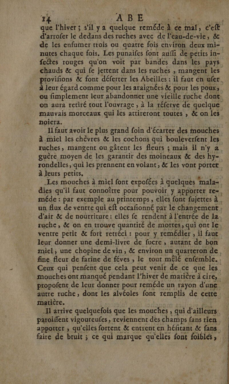 34 AD. RS d’arrofer le dedans des ruches avec de l'eau-de-vie, &amp; de les enfumer trois ou quatre fois environ deux mi- nutes chaque fois. Les punaifes font aufli despetits in- chauds &amp; qui fe jettent dans les ruches ,; mangent les à leur égard comme pour les araignées &amp; pour les poux; ou fimplement leur abandonner une vieille ruche dont mauvais morceaux qui les attireront toutes , &amp; on les noiera. IL faut avoir le plus grand foin d'écarter des mouches à miel les chèvres &amp; les cochons qui bouléverfent les ruches mangent ou gâtent les fleurs ; mais il n'y 2 guère moyen de les garantir des moineaux &amp; des hy- rondelles, qui les prennent en volant, &amp; les vont porter à leurs petits. Les mouches à miel font expoféces à quelqués “mala- d'air &amp; de nourriture: elles fe rendent à l'entrée de 12 tuche, &amp; on en trouve quantité de mortes, qui ont le ventre petit &amp; fort retréci : pour y remédier , il fauc leur donner une demi-livre de fucre , autant de bon autre ruche, dont les alveoles font remplis de cette matière. paroiffent vigoureufes, reviennent dès champs fans rien appotter ; qu'elles fortent &amp; entrent en héfitant &amp; fans