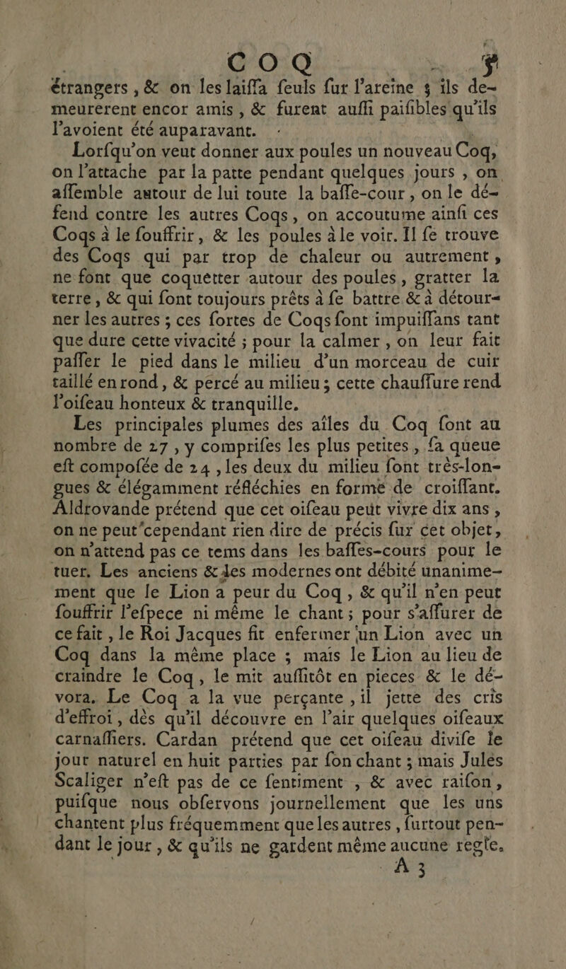 | Da... 2.8 étrangers , &amp; on les laifla feuls fur l’areine $ ils de- meurerent encor amis, &amp; furent aufli paiñbles qu'ils l’avoient été auparavant. Ne * Lorfqu’on veut donner aux poules un nouveau Coq, on l’attache par la patte pendant quelques jours , on. aflemble autour de lui toute la baffe-cour , on le dé- fend contre les autres Cogqs, on accoutume ainfi ces Cogs à le fouffrir, &amp; les poules à le voir. Il fe trouve des Coqs qui par trop de chaleur ou autrement, ne font que coquetter autour des poules, gratter la terre, &amp; qui font toujours prêts à fe battre &amp; à détour= ner les autres ; ces fortes de Cogs font impuiffans tant que dure cette vivacité ; pour la calmer , on leur fait pafler le pied dans le milieu d’un morceau de cuir taillé en rond, &amp; percé au milieu; cette chauffure rend l'oifeau honteux &amp; tranquille. Les principales plumes des aîles du Coq font au nombre de 27 , y comprifes les plus petites, fa queue eft compofée de 24 , les deux du milieu font très-lon- gues &amp; élégamment réfléchies en forme de croiffant. Aldrovande prétend que cet oifeau peut vivre dix ans, on ne peut’cependant rien dire de précis fur cet objet, on n'attend pas ce tems dans les baffes-cours pour le tuer. Les anciens &amp; des modernes ont débité unanime- ment que le Lion à peur du Coq, &amp; qu'il n'en peut fouffrir l’efpece ni même le chant; pour s’affurer de ce fait , le Roi Jacques fit enfermer un Lion avec un Coq dans la même place ; mais le Lion au lieu de craindre le Coq, le mit auflitôt en pieces &amp; le dé- vora, Le Coq a la vue perçante ,ïl jette des cris d'effroi , dès qu'il découvre en l’air quelques oifeaux carnafhers. Cardan prétend que cet oifeau divife le jout naturel en huit parties par fon chant ; mais Jules Scaliger n’eft pas de ce fentiment , &amp; avec raifon, puifque nous obfervons journellement que les uns Chantent plus fréquemment que les autres , furtout pen- dant le Jour , &amp; qu'ils ne gardent même aucune regle.