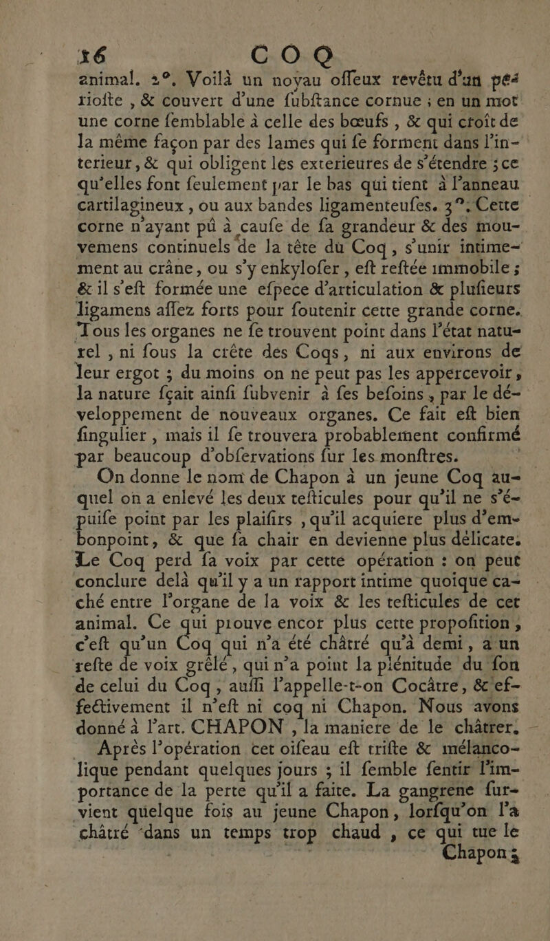 +6 CO animal. 2°, Voilà un noyau offeux revêtu d'an pe&lt; riofte , &amp; couvert d’une fubftance cornue ; en un mot une corne femblable à celle des bœufs , &amp; qui croît de Ja même façon par des lames qui fe forment dans l'in- terieur, &amp; qui obligent les exterieures de s'étendre ;ce qu'elles font feulement prar le bas quitient à l'anneau cartilagineux , ou aux bandes ligamenteufes. 3°: Cette corne n'ayant pû à caufe de fa grandeur &amp; des mou- vemens continuels de la tête du Coq, s'unir intime ment au crâne, ou s'y enkylofer , eft reftée immobile ; &amp; il s'eft formée une efpece d’articulation &amp; plufeurs ligamens aflez forts pour foutenir cette grande corne. ‘Tous les organes ne fe trouvent point dans l’état natu= rel , ni fous la crête des Cogqs, ni aux environs de leur ergot ; du moins on ne peut pas les appércevoir, la nature fçait ainfi fubvenir à fes befoins , par le dé- veloppement de nouveaux organes. Ce fair eft bien fingulier , mais il fe trouvera probablement confirmé par beaucoup d'obfervations fur les monftres. On donne le nom de Chapon à un jeune Coq au- quel on a enlevé les deux tefticules pour qu’il ne s’é- puife point par les plaifirs , qu’il acquiere plus d’em- bonpoint, &amp; que fa chair en devienne plus délicate. Le Coq perd fa voix par cetté opération : on peut conclure delà qu’il y a un rapport intime quoique ca- ché entre l'organe de la voix &amp; les tefticules de cer animal. Ce qui piouve encor plus cette propofition , c'eft qu’un Coq qui n'a été châtré qu'à demi, a un refte de voix grêlé, qui n’a point la plénitude du fon de celui du Cog, auffi l’appelle-t-on Cocâtre, &amp;ef- feétivement il n’eft ni coq ni Chapon. Nous avons donné à l’art. CHAPON ,, la maniere de le châtrer. Après l’opération cet oïfeau eft trifte &amp; mélanco- lique pendant quelques jours ; il femble fentir l'im- portance de la perte qu'il a faite. La gangrene fur- vient quelque fois au jeune Chapon, lorfqu’on l'a châtré ‘dans un temps trop chaud , ce qui tue le er Chapon: