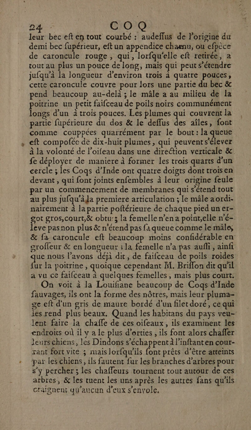 leur bec eft en tout courbé : audeflus de Porigine du demi bec fupérieur, eft un appendice chaænu, ou efpèce de caroncule rouge , qui, lorfqu'elle eft retirée, a tout au plus un pouce de long, mais qui peut s’étendre jufqu’à la longueur d'environ trois à quatre pouces, cette caroncule couvre pour lors une partie du bec &amp; pend beaucoup au-delà ; le mâle a au milieu de la poitrine un petit faifceau de poils noirs communément longs d’un à trois pouces. Les plumes qui couvrent la partie fupérieure du dos &amp; le deffus des aîles, font comme couppées quarrément par le bout : la queue eft compofée de dix-huit plumes, qui peuvents’élever à la volonté de l’oifeau dans une direction verticale &amp;. fe déployer de maniere à former les trois quarts d’un cercle ; les Coqs d’Inde ont quatre doigts dont troisen devant , qui font joints enfembles à leur origine feule par un commencement de membranes qui s'étend tout au plus jufqu’àJa premiere articulation ; le mâle aordi- nairement à la partie poftérieure de chaque pied un er- got gros,court,&amp; obtu:3 la femelle n’ena point,elle n'é- leve pas non plus &amp; n’érend pas fa queue comme le mâle, &amp; fa caroncule eft beaucoup moïns confidérable en sroffeur &amp; en longueur ; la femelle n’a pas aufli, ainfi ue nous l’avons déja dit, de faifceau de poils roides fur la poitrine , quoique cependant M. Briflon dit qu'il a vu ce faifceau à quelques femelles, mais plus court. On voit à la Louifiane beaucoup de Cogs d’Inde fauvages, ils ont la forme des nôtres, mais leur pluma- ge eft d'un gris de maure bordé d’un filet doré, ce qui les rend plus beaux. Quand les habitans du pays veu- lent faire la chaffe de ces oifeaux, ils examinent les endroits où il v a Le plus d’erties , ils font alors chaffer Jeurs chiens, les Dindons s’échappent à l’inftanten cour- xant fort vite ; mais lorfqu’ils font prêts d’être atteints par les chiens, ils fautent fur les branches d'arbres pour s’y percher ; les chaffeurs tournent tout autour de ces arbres, &amp; les tuent les uns après les autres fans qu'ils craignent qu'aucun d'eux s'envole,