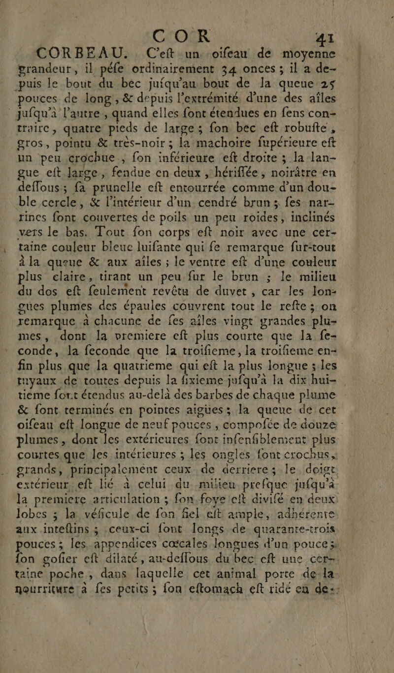 CORBEAU. C'eft un oifeau de HS grandeur , il péfe ordinairement 34 onces ; il a de- -puis le bout du bec jufqu'au bout de Ja queue 25 pouces de long, &amp; depuis l’extrémité. d’une des aîles _jufqu’à l’autre , quand elles font étendues en fens con- trairc, quatre pieds de large ; fon bec eft robufte , gros, pointu &amp; trés-noir ; la machoire fupérieure eft un peu crochue , fon inférieure eft droite ; la lan- gue eft.Jarge , fendue en deux , hériflée ; noirâtre en deffous; fa pruncelle eft entourrée comme d’un dou- ble cercle, &amp; l’intérieur d’un. cendré bruns fes nar- rincs font couvertes de poils un peu roides, inclinés vers le bas. Tout fon corps eft noir avec une cer- taine couleur bleuc luifante qui fe remarque fur-tout à la queue &amp; aux ailes ; le ventre eft d’une couleur plus claire, tirant un peu fur le brun ; le milieu du dos eft feulement revêtu de duvet , car les lon: gues plumes des épaules couvrent tout le refte; on remarque .à chacune de fes ailes vingt grandes plu- mes, dont la premiere cft plus courte que Ja fe- conde, la feconde que la troïfieme, la troifieme en- fin plus que la quatrieme qui eft la plus longue les tuyaux de toutes depuis la fixieme jufqu’a la dix hui- tieme fort étendus au-delà des barbes de chaque plume &amp; font. terminés en pointes aigües; la queue de cet oifeau eft longue de neuf pouces ; compafée de douze plumes, dont les extérieures font infenfiblement plus courtes.que les intérieures ; les ongles font crochus grands, principalement ceux de derriere le doigt extérieur, eft lié à celui du milieu prefque jufqu'à- la premiere articulation ; fon,foye cit divilé en deux lobes &gt;; la véficule de fon fel eft ample, adhérente aux inteflins ; ceux-ci font Îongs de. quaranre-trois pouces ; les. appendices cœcales longues d’ua pouce x fon gofier eft dilaté, au-deflous du bec! eft une cer. taine poche , dans laquelle cet animal porte dela nourriture a fes petits ; fon eftomach eft ridé en de: