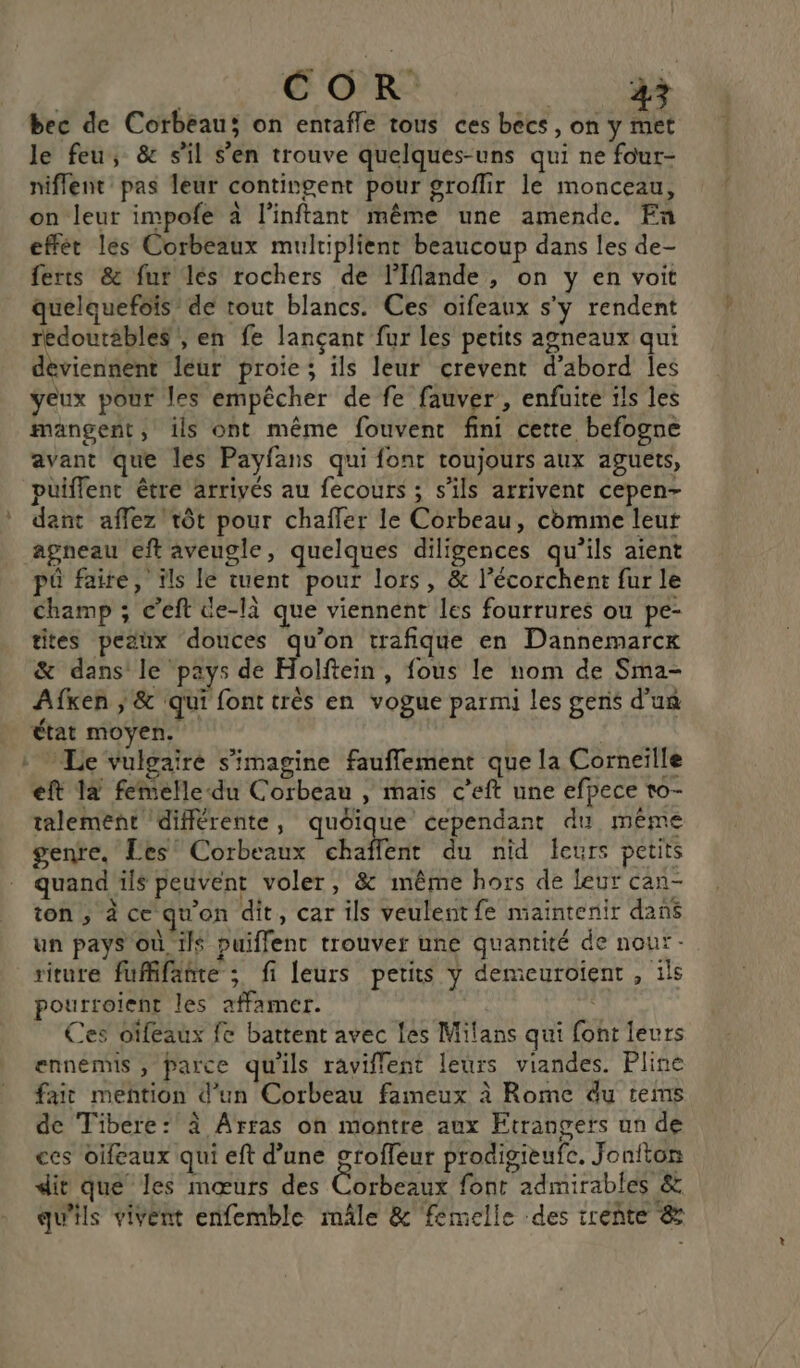 COR à bec de Corbeau; on entafle tous ces becs, on y ru le feu, &amp; s'il s'en trouve quelques-uns qui ne four- niflent pas leur contingent pour groffir le monceau, on leur impofe à l’inftant même une amende. Fn effét les Corbeaux multiplient beaucoup dans les de- ferts &amp; fur les rochers de l’'Iflande, on y en voit quelquefois’ de tout blancs. Ces oïfeaux s'y rendent redoutables ; en fe lançant fur les petits agneaux qui déviennent leur proie; ils leur crevent d’abord les yeux pour les empêcher de fe fauver , enfuite ils les mangent, ils ont même fouvent fini cette befogne avant que les Payfans qui font toujours aux aguets, puüiffenc être arrivés au fecours ; s'ils arrivent cepen- * dant affez tôt pour chafler le Corbeau, comme leur agneau eft aveugle, quelques diligences qu'ils aient pô faire, ïls le tuent pour lors, &amp; l’écorchent fur le champ ; c'eft de-là que viennent les fourrures ou pe- tites peaux douces pe trafique en Dannemarcx &amp; dans le pays de Holftein, fous le nom de Sma- Afken ; &amp; qui font très en vogue parmi les gens d'un état moyen. | | : Le vVulgairé s’imagine fauflement que la Corneille eft 12 femelle-du Corbeau , maïs c’eft une efpece to- talement différente, quoique cependant du même gente, Les’ Corbeaux chaflent du nid leurs petits quand ils peuvent voler » &amp; même hors de leur can- ton, à ce qu'on dit, car ils veulent fe maintenir dans un pays où ils puiflenc trouver une quantité de nou: - riture fuffifanre ; fi leurs petits y demeuroient , ils pourroient les affamer. Ces oïfeaux fe battent avec Les Milans qui font leurs ennémis , parce qu'ils raviflent leurs viandes. Pline fait mention d'un Corbeau fameux à Rome du tems de Tibere : à Arras on montre aux Etrangers un de ecs oifeaux qui eft d’une croffeur prodigieufe. Jonfton dit que les mœurs des Corbeaux font admirables &amp; qu'ils vivent enfemble mâle &amp; femelle des trente &amp;