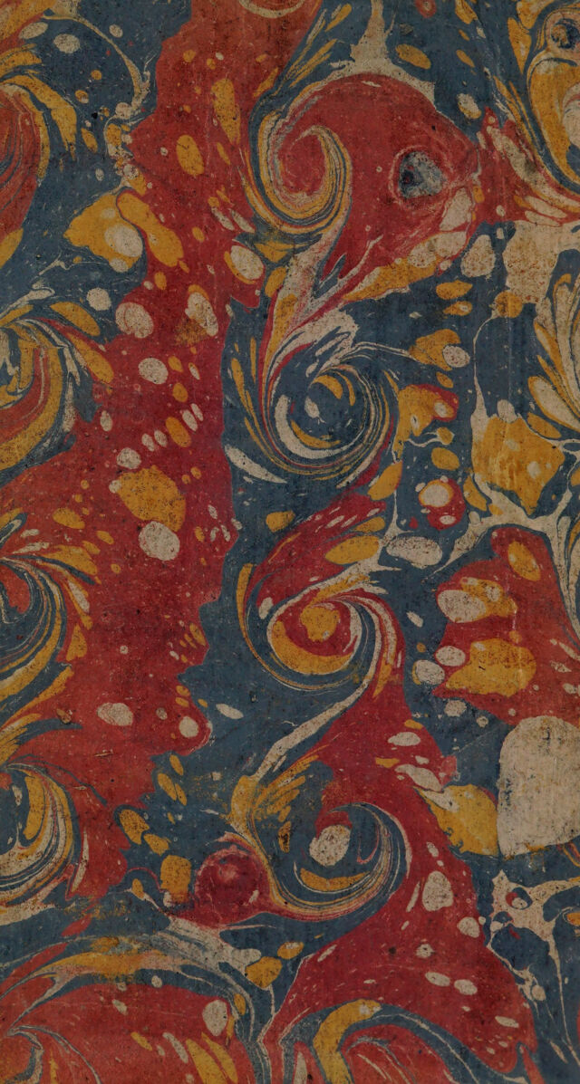 No text description is available for this image