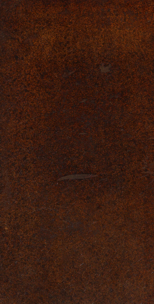 digitised image 1