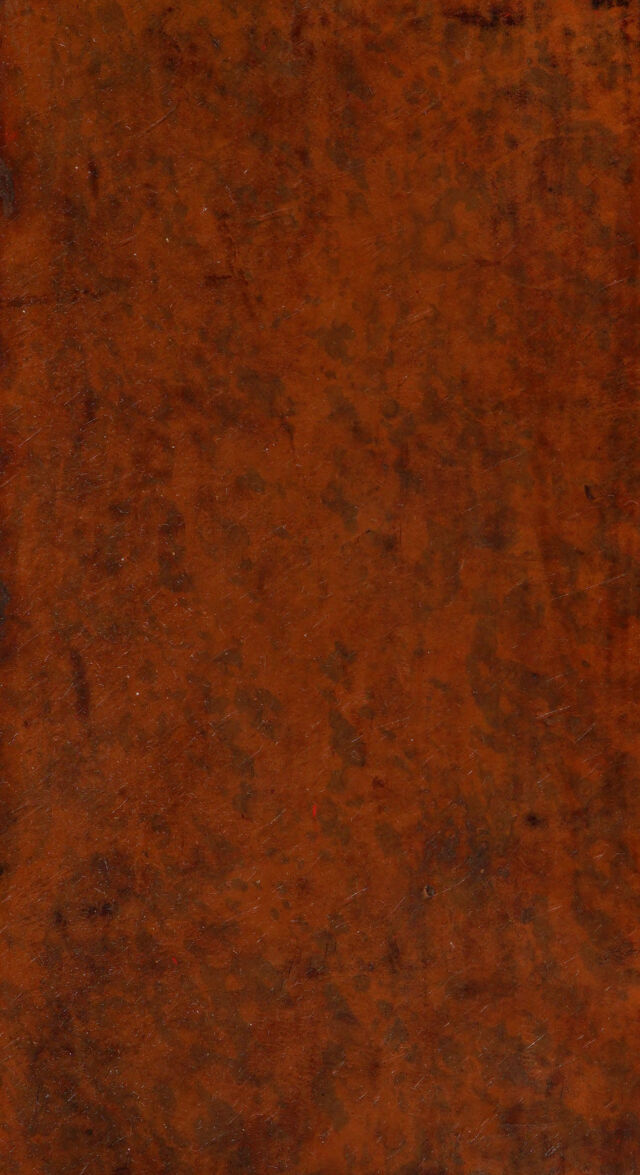 digitised image 1