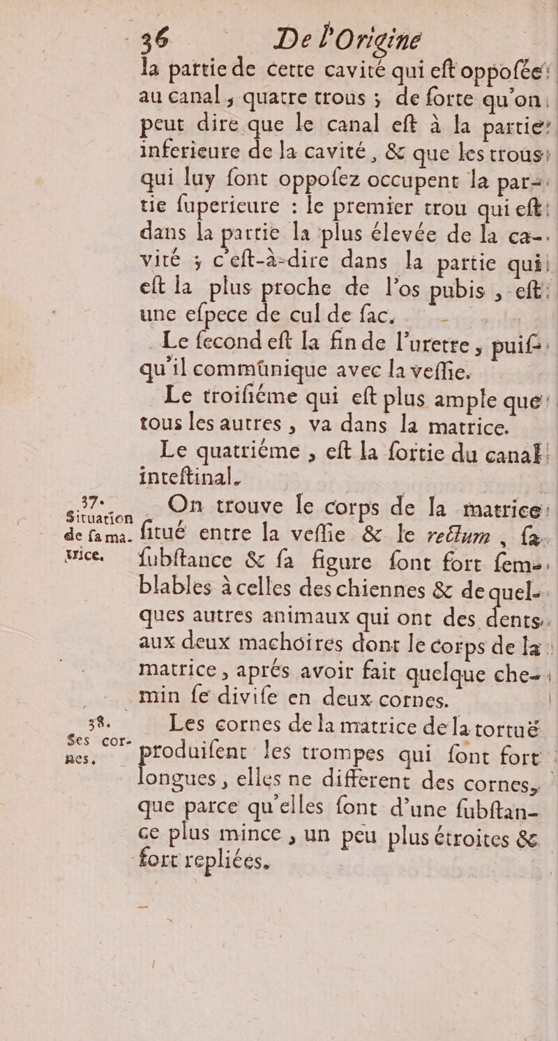 la partie de cette cavité qui eft oppofée au canal, quatre trous ; de forte qu'on peut dire que le canal eft à la partie’ inferieure de la cavité, &amp; que les trous: qui luy font oppofez occupent la par: tie fuperieure : le premier trou qui eff: dans la partie la plus élevée de la ca. viré ; c'eft-à-dire dans la partie qui: eft la plus proche de l'os pubis , eft: une efpece de cul de fac. Le fecond eft [a fin de l’uretre, puif: qu'il commünique avec la vefie. | Le troifiéme qui eft plus ample que! tous les autres , va dans la matrice. Le quatrième , eft La fortie du canaË! inteftinal. | 37°. On trouve Le corps de Ja matrice: Situation r, : de fama. fitué entre la vefie &amp; le rellum , {a wie. fubftance &amp; fa figure font fort fem: blables à celles des chiennes &amp; de quel. ques autres animaux qui ont des Fr , aux deux machoires dont le corps de la: matrice, aprés avoir fait quelque che- min fe divife en deux cornes. | 58. Les cornes de la matrice dela tortuë es. 7 produifent les trompes qui font fort. longues , elles ne different des cornes, que parce qu'elles font d’une fubftan- ce plus mince , un peu plus étroites &amp; fort repliées. |