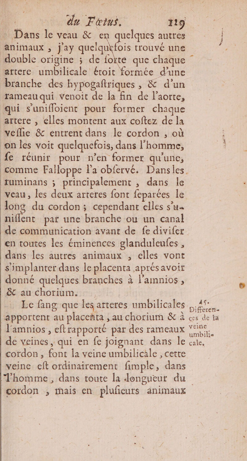 + Dans le veau &amp; en quelques autres animaux ; j'ay Pre trouvé une double origine ; de foite que chaque artere umbilicale étoit formée d’une branche des hypogaftriques , &amp; d'un rameau qui venoit de la fin de l’aorte, qui s'uniffloient pour former chaque artere , elles montent aux coftez de la veflie &amp; entrent dans le cordon , où on les voit quelquefois, dans l'homme, fe réunir pour n’en former qu'une, tuminans ; principalement , dans le veau, les deux arteres font feparées le long du cordon ; cependant elles s'u« niflent par une branche ou un canal en toutes les éminences glanduleufes , dans les autres animaux , elles vont s'implanter dans le placenta aprés avoir donné quelques branches à l’amnios , &amp; au chorium. | Le fang que les arteres umbilicales apportent au placeñta , au chorium &amp; à J'amnios , eftrapporté par des rameaux de veines, qui en fe joignant dans le cordon, font la veine umbilicale , cette veine. eft ordinairement fimple, dans 45 Differen- ces de fa veine umbille cale, cordon ; mais en plufeurs animaux