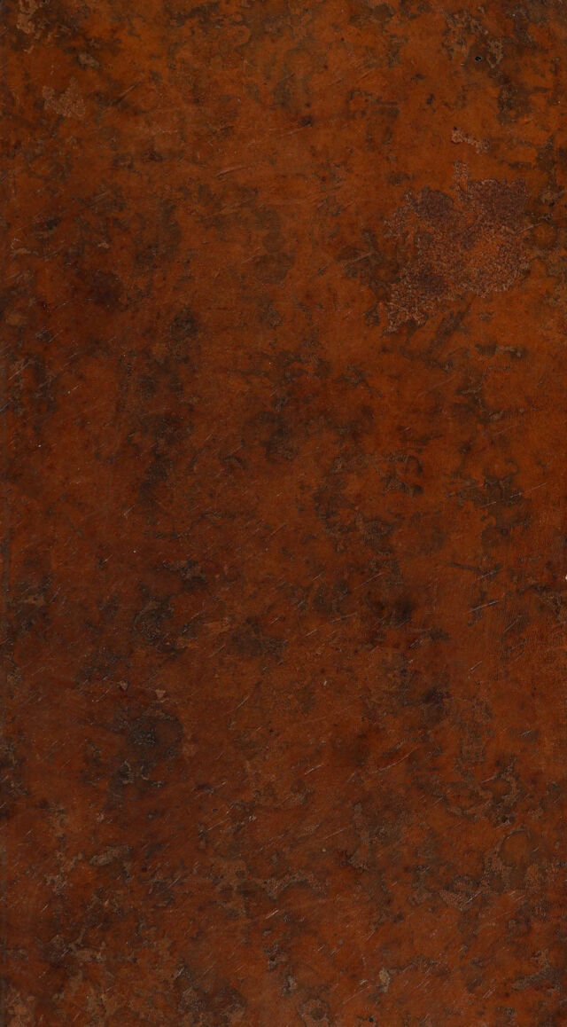digitised image 1