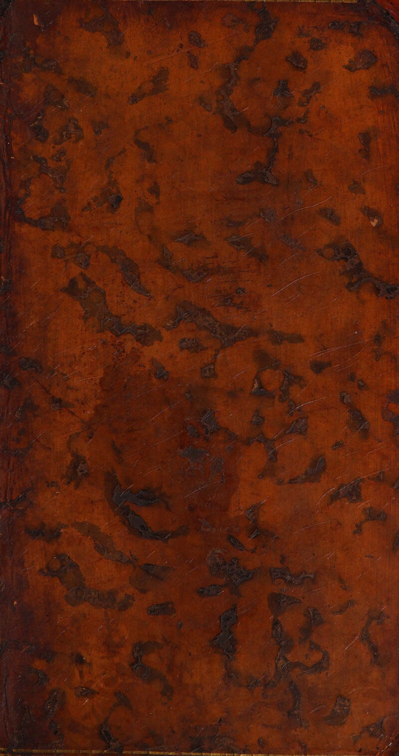 No text description is available for this image