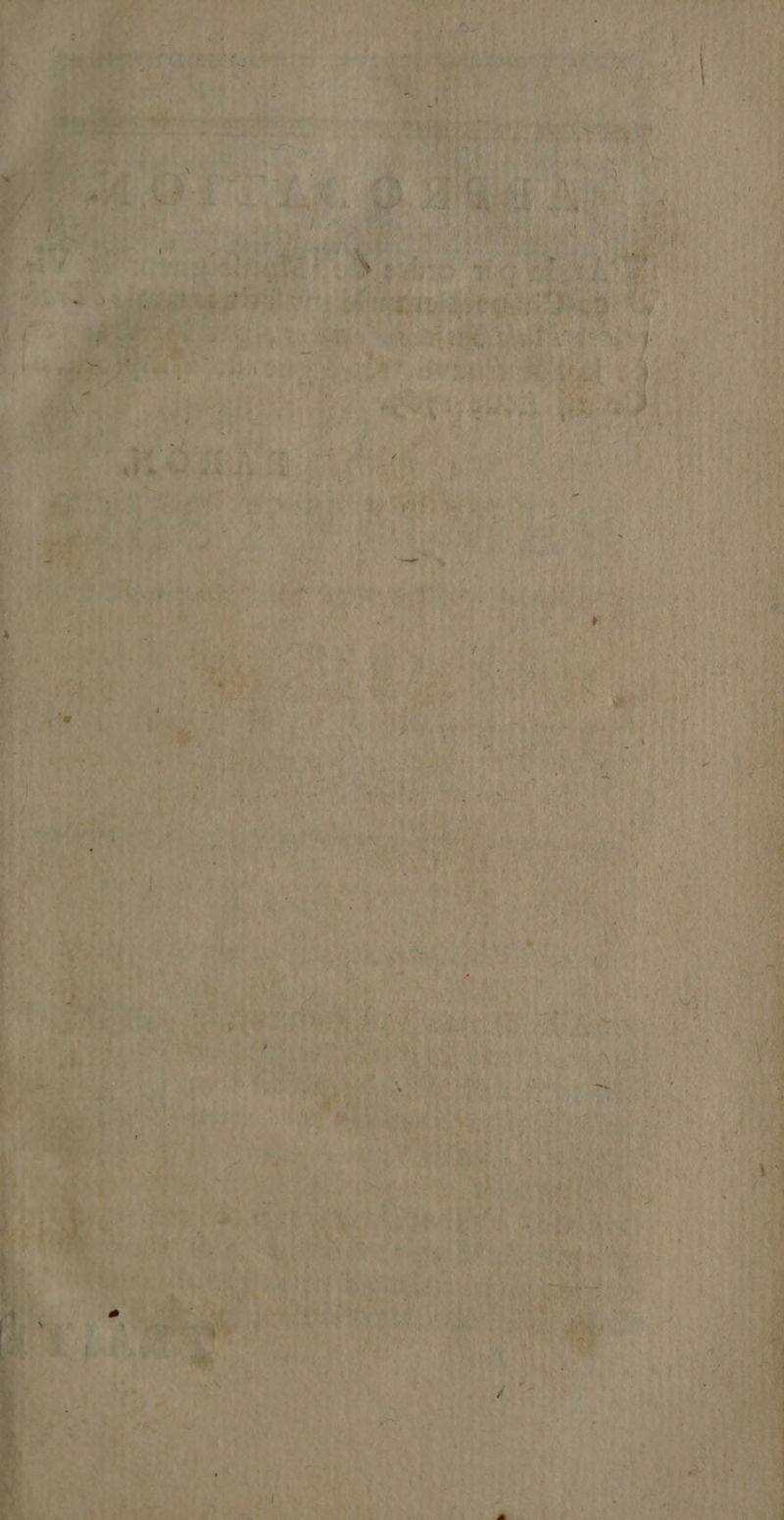 RE EN . — ER di» za LE DT es ù A er D | noi