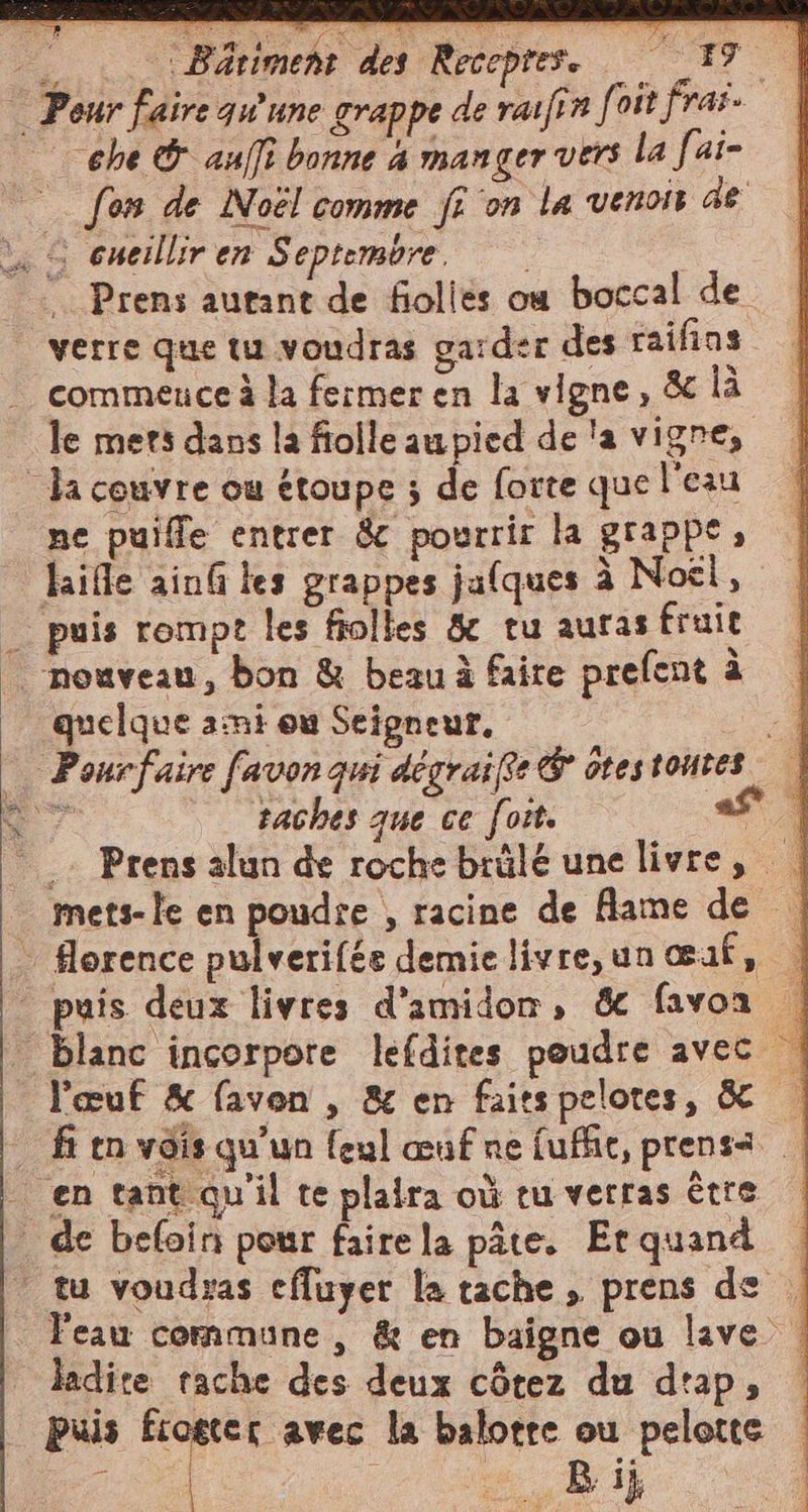 _: Bariment des Recepres. i che &amp; auffî bonne à manger vers la fai- 3 x commence à la fermer en la vigne, &amp; là ne puiffe entrer &amp; pourrir la grappe, laifle ain les grappes jafques à Noel, ‘quelque ami ou Seigneur. taches que ce forts ©“ “A . Prens alun de rochebrüléunelivre, | mets- le en poudre , racine de flame de l'œuf &amp; faven , &amp; en faits pelotes, &amp; ladite tache des deux côtez du drap, puis Frogtec avec la balotre ou pelotte