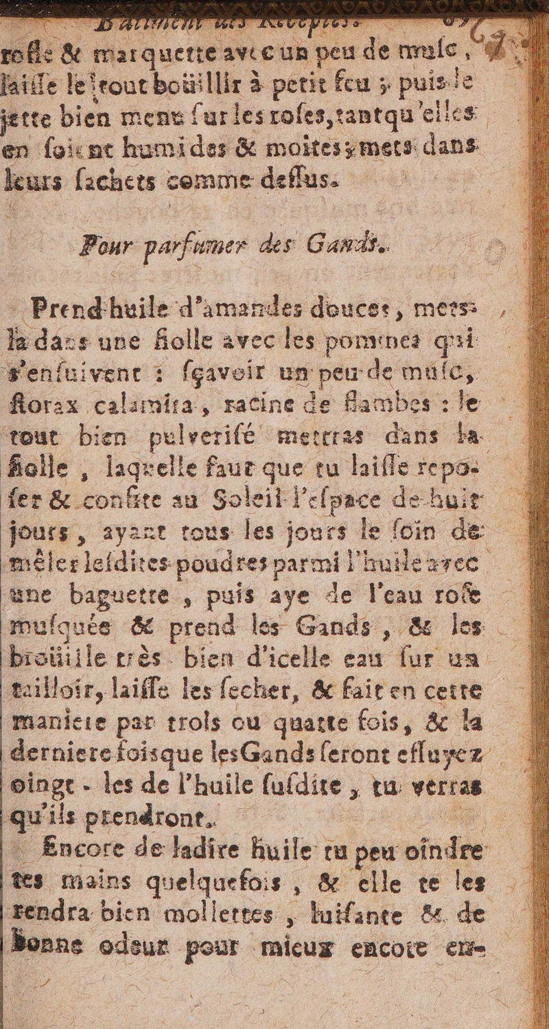AVDULITE à MF «al AE UCE rofl: &amp; marquerte avec un peu de male , 9 laiife le teout boüillir à petit feu ; puisie à jette bien ment furles rofes,tantqu'eiles en foicnt humides &amp; moitesymets dans leurs fachets comme deflus. Pour parfamer des Gandi.. | Prend'huile d'amandes douces, merss , | Ja dass une folle avec les pomtnes qui S'enfuivenc : fçaveir un peu de mule, fiorax calsmira, racine de fambes : le ‘tout bien pulverifé meteras dans ba fiolle , lagrelle faut que tu laiffe repos fer &amp; confite au Soleit lefsace de hair jours, ayant tous les jours le foin de: méler leidites poudres parmi l'huilezrec ne baguetre , puis aye de l'eau roûe mufgute &amp; prend les Gands , &amp; les bioiiiile très. bien d'icelle eau fur una tailotr, laiffe les fecher, &amp; fait en cette maniere par trois ou quatte fois, scla | dernierefoisque lesGandsferont efluxez | oinge - les de l’huile fufdite, tu: verras qu'ils prendront. © wa . Encore de ladire huile tu peu oîndre tes mains quelquefois , &amp; elle te les rendra bien mollertes | luifante &amp; de Bone odeur pour mieux encore ex ‘2 Née]