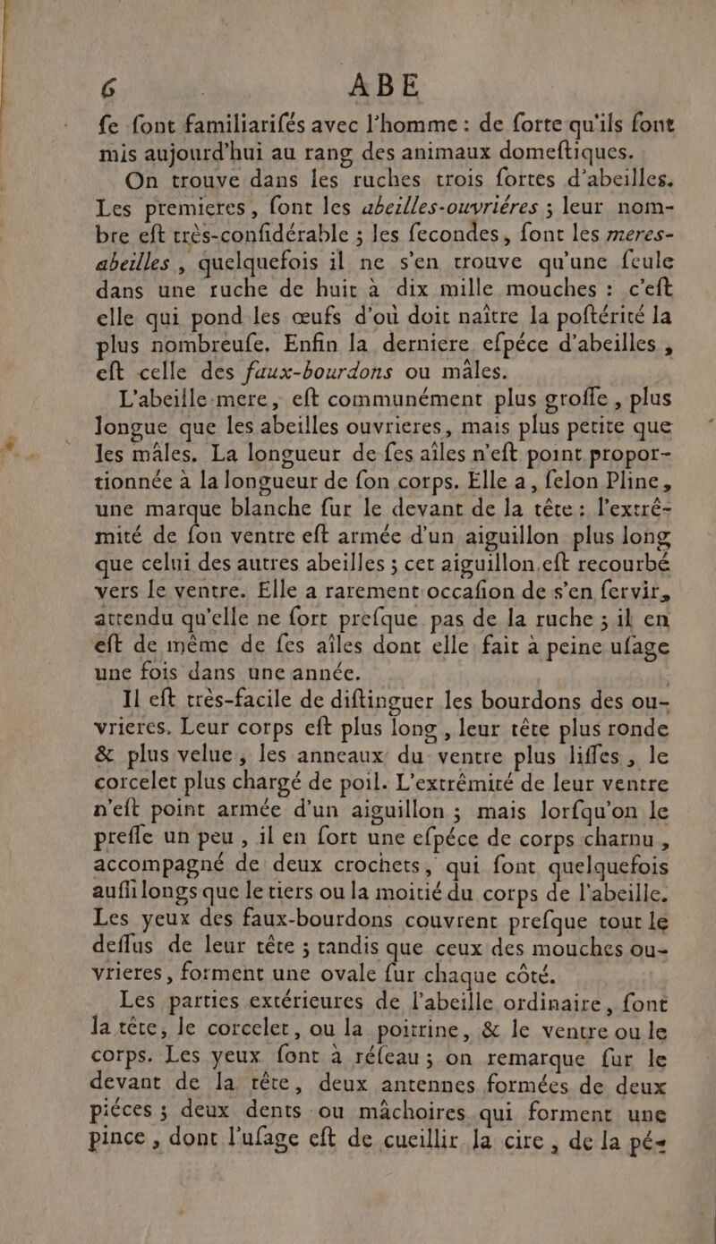 fe font familiarifés avec l’homme : de forte qu'ils font mis aujourd’hui au rang des animaux domeftiques. On trouve dans les ruches trois fortes d’abeilles. Les premieres, font les ubeilles-ouvriéres ; leur nom- bre eft crès-confidérable ; les fecondes, font les meres- abeilles , quelquefois il ne s’en trouve qu'une feule dans une ruche de huit à dix mille mouches : c’eft elle qui pond les œufs d'ou doit naître la poftérité la plus nombreufe, Enfin la derniere efpéce d’abeilles , eft celle des fuux-bourdons ou mâles. L'abeille-mere, eft communément plus groffe , plus Jongue que les abeilles ouvrieres, mais plus petite que les mâles. La longueur de fes aïles n’eft point propor- tionnée à la longueur de fon corps. Elle a, felon Pline, une marque blanche fur le devant de la tête : l’extré- mité de bn ventre eft armée d’un aiguillon plus long que celui des autres abeilles ; cer aiguillon,eft recourbé vers le ventre. Elle à rarement occafion de s’en fervir, attendu qu’elle ne fort prèfque pas de la ruche ; il en eft de même de fes aîles dont elle fair à peine ufage une fois dans une année. Il eft très-facile de diftinguer les bourdons des ou- vrieres, Leur corps eft plus long , leur tête plus ronde &amp; plus velue, les anneaux du ventre plus liffes, le corcelet plus chargé de poil. L'extrémité de leur ventre n'eit point armée d’un aiguillon ; mais lorfqu’on le prefle un peu , il en fort une efpéce de corps charnu , accompagné de deux crochets, qui font quelquefois aufli longs que le tiers ou la moitié du corps de l'abeille. Les yeux des faux-bourdons couvrent prefque tour le deffus de leur tête ; tandis que ceux des mouches ou- vrieres, forment une ovale fur chaque côté. Les parties extérieures de l'abeille ordinaire, font la tête, le corcelet, ou la poitrine, &amp; le ventre ou le corps. Les yeux font à réfeau ; on remarque fur le devant de la rête, deux antennes formées de deux piéces ; deux dents ou mächoires qui forment une pince , dont l'ufage eft de cueillir la cire , de la pé« “