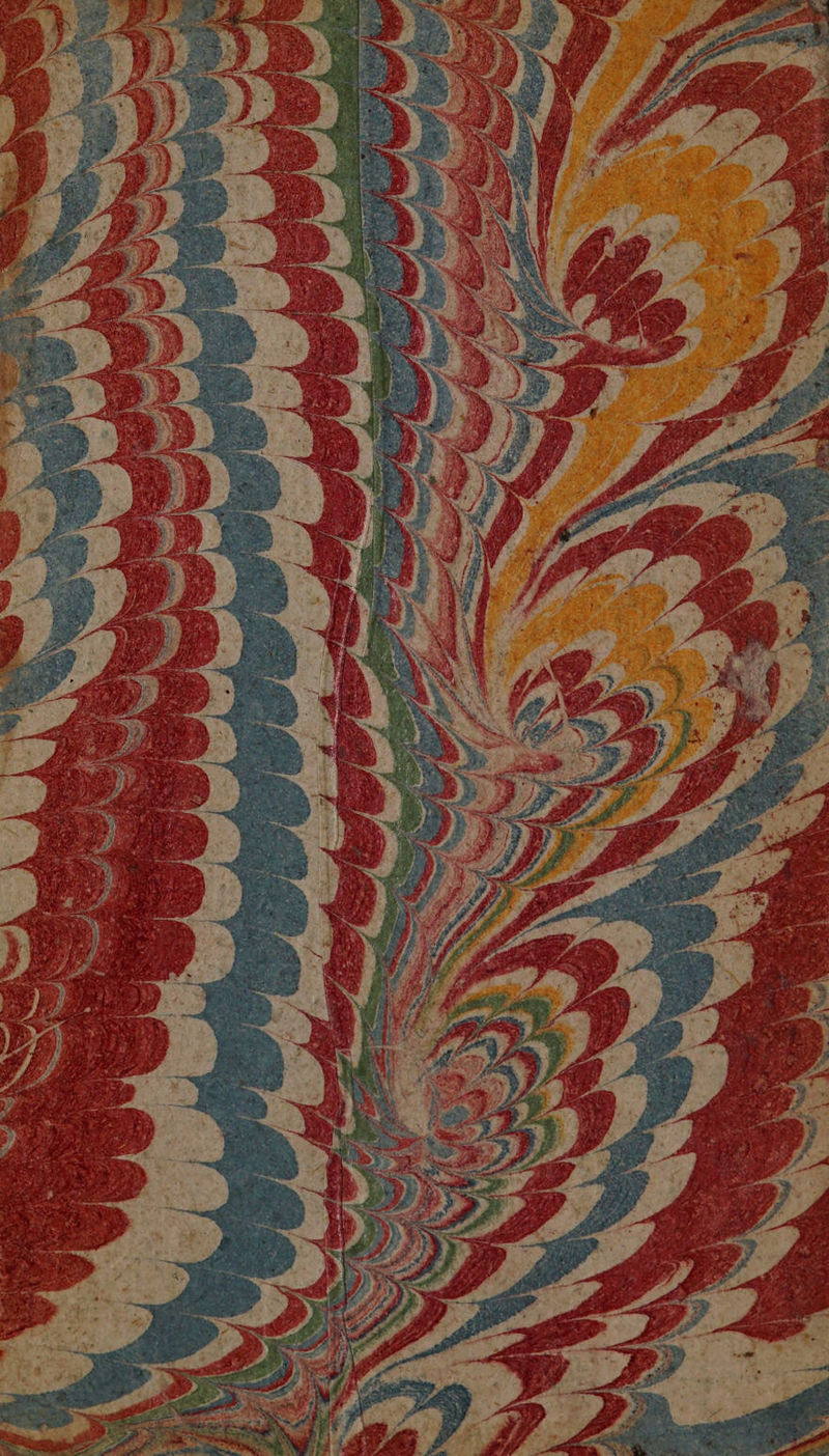 No text description is available for this image