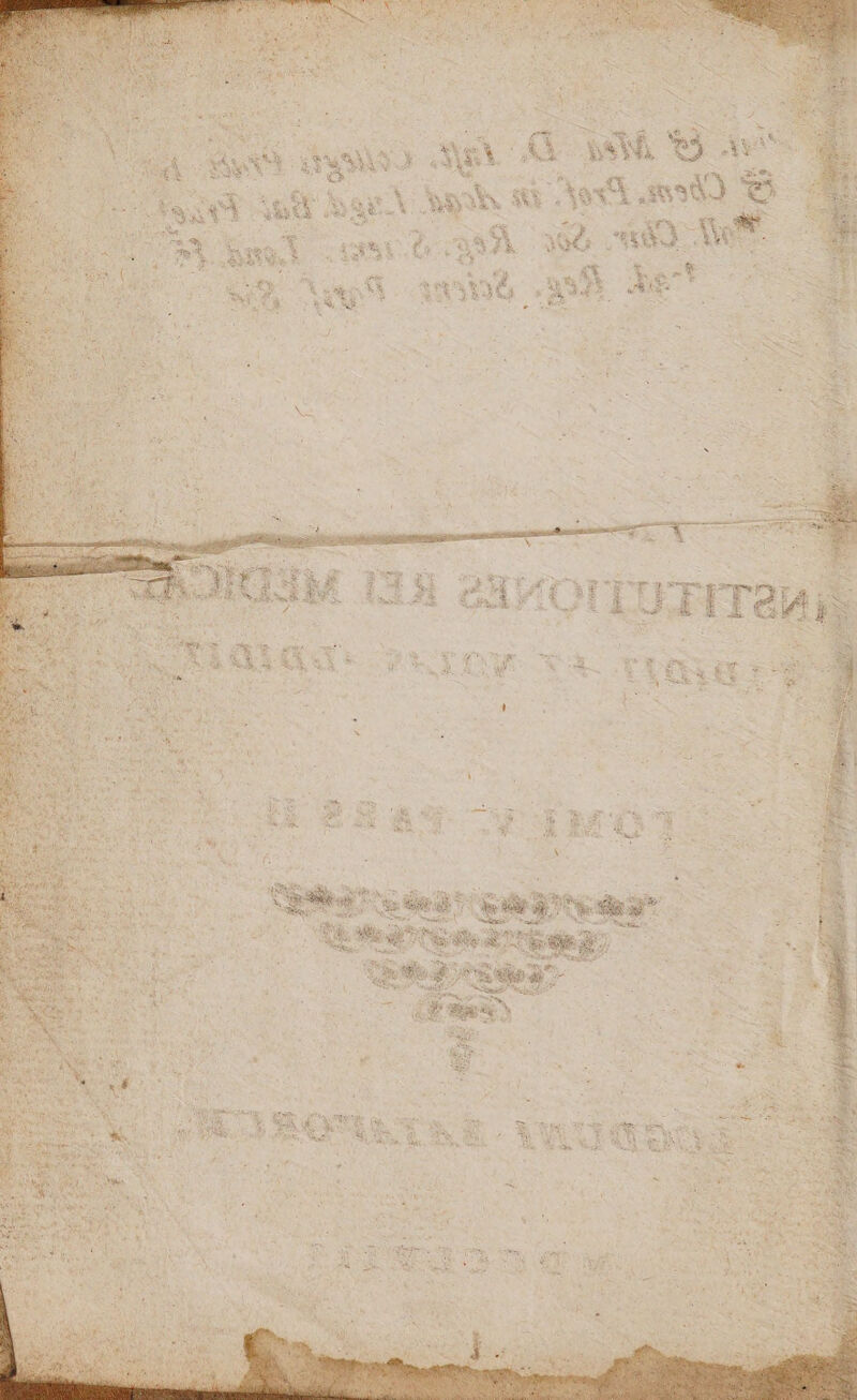 No text description is available for this image