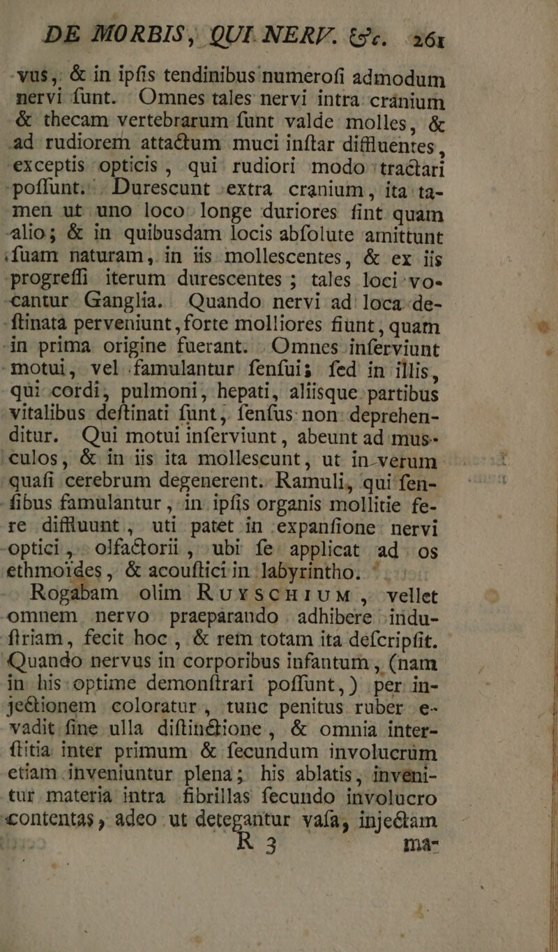 - vus ,: &amp; in ipfis tendinibus numerofi admodum nervi funt. Omnes tales nervi intra cránium &amp; thecam vertebrarum funt valde molles, &amp; ad rudiorem attadum muci inflar diffluentes, exceptis opticis , qui rudiori modo tractari poffunt... Durescunt ;extra. cranium, ita ta- men ut uno loco longe duriores fint quam lio; &amp; in quibusdam locis abfolute amittunt ;fuam naturam, in iis mollescentes, &amp; ex iis progreffi iterum durescentes ; tales loci: vo- cantur Ganglia. Quando nervi ad'loca-de- ftinata perveniunt ,forte molliores fiünt , quam in prima origine fuerant. . Omnes inferviunt motui, vel famulantur fenífuis fed in illis, qui.cordi, pulmoni, hepati, aliisque partibus vitalibus deftinati funt ,. fenfus: non: deprehen- ditur. Qui motui inferviunt, abeunt ad mus- culos, &amp; in iis ita mollescunt, ut in-verum quafi cerebrum degenerent. Ramuli, qui fen- -fibus famulantur , in ipfis organis mollitie fe- re difluunt , uti patet in ;expanfione nervi -optici , .olfactorii ,' ubi fe. applicat ad os éthmotics , &amp; acoufliciin labyrintho. ^... Rogabam olim RuvscuiuM , vellet omnem nervo praeparando . adhibere | indu- firiam, fecit hoc , &amp; rem totam ita defcripfit. - Quando nervus in corporibus infantum , (nam in his. optime demonítrari poffunt,) per in- je&amp;ionem coloratur, tunc penitus ruber e- vadit fine ulla diftin&amp;ione , &amp; omnia inter- ílitia inter primum. &amp; fecundum involucrüm etiam inveniuntur plena; his ablatis, inveni- tur materia intra fibrillas fecundo involucro «contentas , adeo ut dete vaía, inje&amp;tàm i: 3 i; imna-