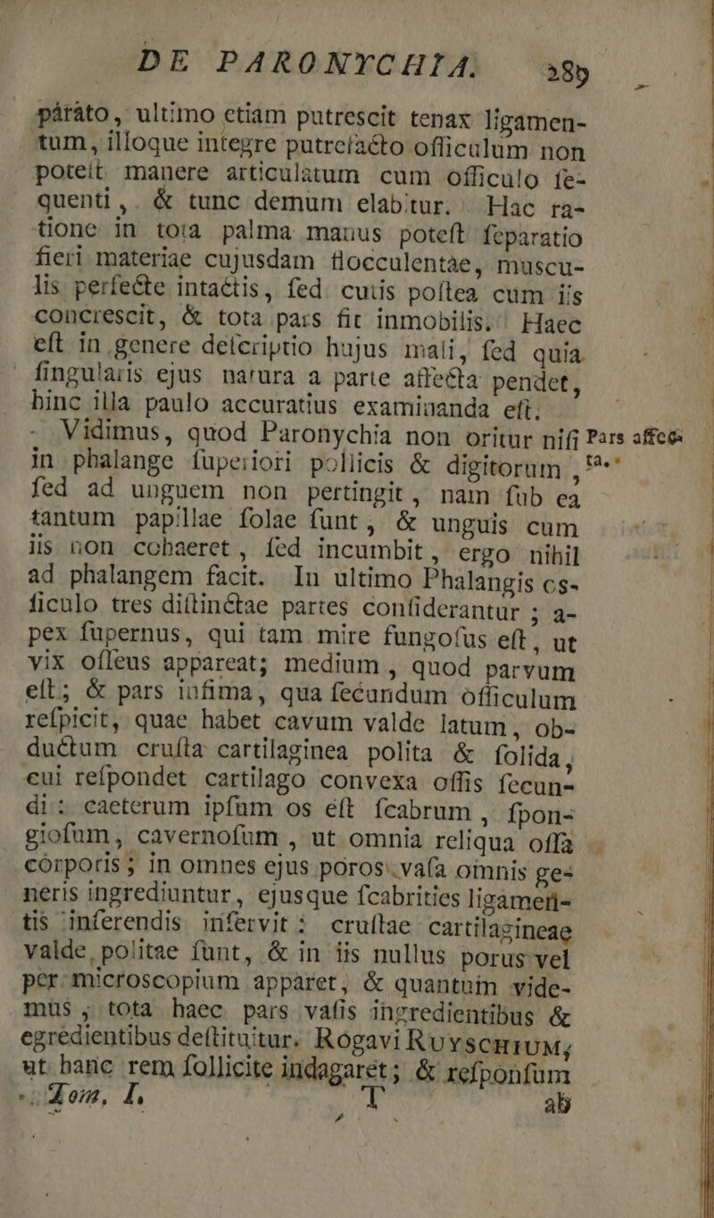 DE PARONYCHIA| ag páráto, ultimo etiam putrescit tenax ligamen- tum, illoque integre putreíacto officalum non poteit manere articulàtum cum officulo fe- - quenti ,. &amp; tunc demum elabitur. Hac ra- tione in to: palma mauus poteft feparatio fieri materiae cujusdam flocculentàe, muscu- lis perfecte intaétis, fed. cutis poítea cum iis concirescit, &amp; tota pars fit inmobilis, Haec eft in genere deicriptio hujus mali, fed quia. fingularis ejus na'rura a parte affecta pendet, binc illa paulo accuratius examinanda eft. 2» Vidimus, quod Paronychia non oritur nifi Pars affee: in pbalange fuperiori pollicis &amp; digitorum , ^ fed ad unguem non pertingit, nam fub ea tantum papillae folae funt, &amp; unguis cum iis non. cobaeret , fed incumbit, ergo nihil ad phalangem facit. Iu ultimo Phalangis cs- ficulo tres di(tinctae partes confiderantur iod pex fupernus, qui tam mire fungofus eft, ut vix ofleus appareat; medium , quod parvum eíL; &amp; pars infima, qua fecandum officulum refpicit, quae habet cavum valde latum , ob- ductum cruíla cartilaginea polita &amp; folida , €ui refpondet cartilago convexa offis fecun di: caeterum ipfum os éft fcabrum , fpon- giofum, cavernofum , ut omnia reliqua offa corporis; in omnes ejus poros'.va(a oinnis ges neris ingrediuntur, ejusque fcabrities ligameri- tis inferendis infervit : cruílae cartilazineae valde, politae fant, &amp; in iis nullus porus vel per.microscopium apparet, &amp; quantnin vide- mus , tota haec pars vafis ingredientibus &amp; egredientibus deftituitur. Rogavi RuvscmiuM; ut banc rem follicite indagaret; &amp; refponfum Mon, I, 5a ab ^