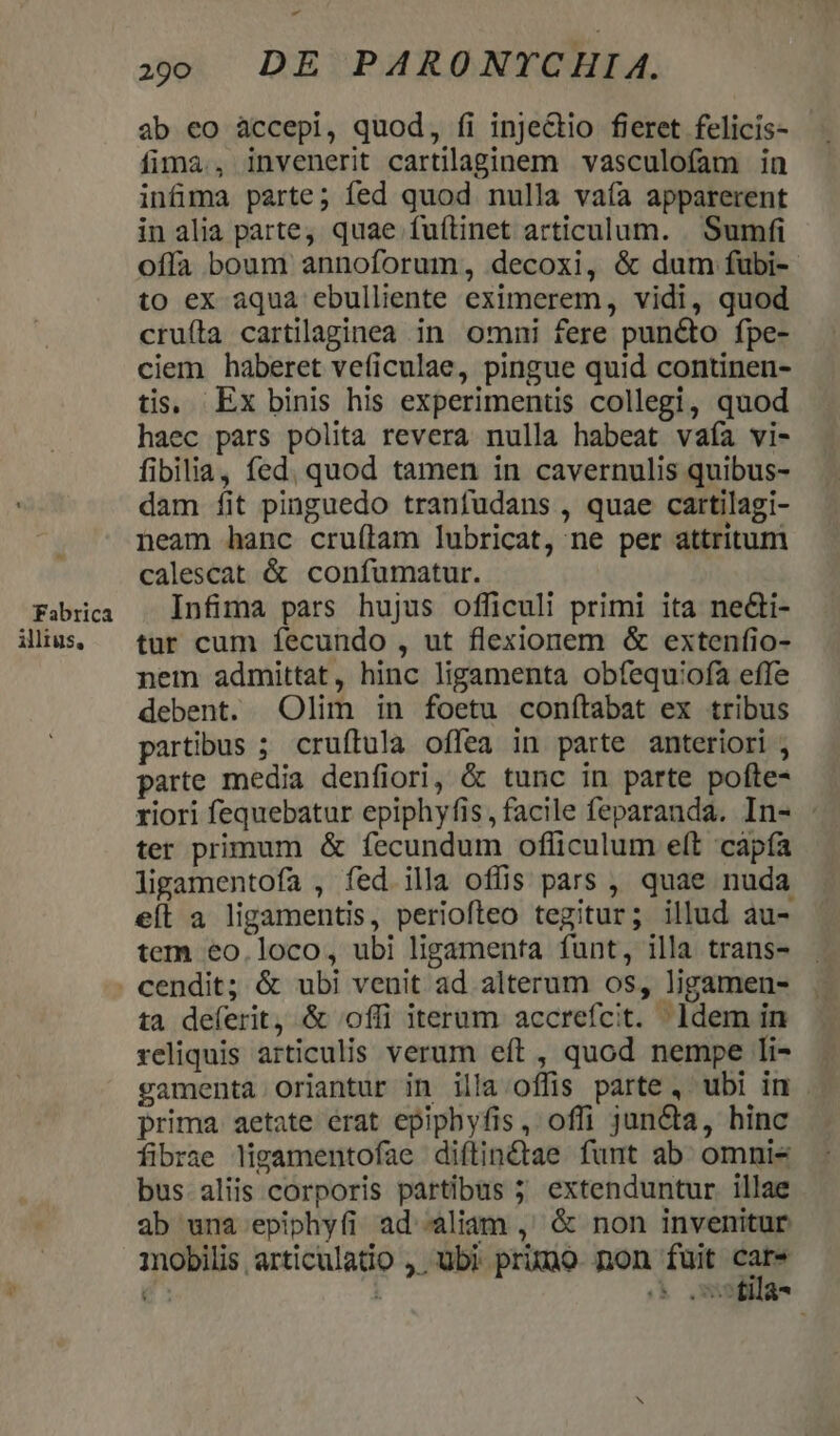 Fabrica illius, » 0 DE PARONYCHIA. ab eo àccepi, quod, fi injectio fieret felicis- fima., invenerit cartilaginem vasculofam in infüima parte; fed quod nulla vaía apparerent in alia parte, quae fuftinet articulum. . Sumfi offa boum annoforum, decoxi, &amp; dum fübi- to ex aqua ebulliente eximerem, vidi, quod crufíta cartilaginea in omni fere puncto fpe- ciem haberet veficulae, pingue quid continen- tis, Ex binis his experimentis collegi, quod haec pars polita revera nulla habeat vaía vi- fibilia, fed. quod tamen in cavernulis quibus- dam fit pinguedo tranfudans , quae cartilagi- neam hanc cru(lam lubricat, ne per attritum calescat &amp; confumatur. Infima pars hujus officuli primi ita ne&amp;ti- tur cum fecundo , ut flexionem &amp; extenfio- nem admittat, hinc ligamenta obfequiofa effe debent. Olim in foetu conítabat ex tribus partibus ; cruftula offea in parte anteriori , parte media denfiori, &amp; tunc in parte pofte- riori fequebatur epiphyfis, facile feparanda. In- : ter primum &amp; fecundum officulum eft capía ligamentofa , fed illa oflis pars , quae nuda eíl a ligamentis, periofteo tegitur; illud au- tem €o.loco, ubi ligamenta funt, illa trans- ta deferit, &amp; offi iterum accrefcit. ldem in reliquis articulis verum eft , quod nempe li- gamenta oriantur in illa offis parte , ubi in . prima aetate érat epiphyfis, offi juncta, hinc fibrae ligamentofae diftin&amp;ae funt ab. omnis bus. aliis corporis partibus ; extenduntur illae ab una epiphyfi ad aliam ,' &amp; non invenitur mobilis articulatio ,. ubi prixuo. non fuit ea e 1 ;&amp; ,m9fl]a^