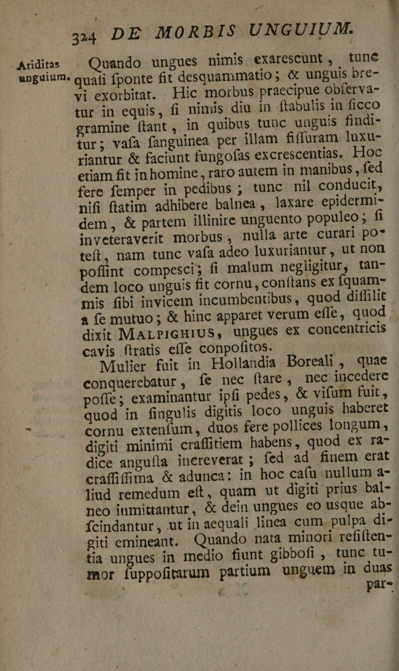 . Ariditas Quando ungues nimis exarescunt, tune vi exorbitat. Hic morbus praecipue obíerva- tur in equis, fi nimis diu in ftabulis 1n ficco gramine ftant, in quibus tuuc unguis findi- tur; vafa fanguinea per illam fiffuram luxu- riantur & faciunt fungofas excrescentias. Hoc etiam fit in homine , raro autem in manibus , fed fere femper in pedibus ; tunc nil conducit, nifi fiatim adhibere balnea , laxare epidermi- dem, & partem illinire unguento populeo; fi inveteraverit morbus, nulla arte curari po7 teft, nam tunc vafa adeo luxuriantur, ut non pofünt compesci; fi. malum negligitur, tan- dem loco unguis fit cornu, conítans ex íquam- mis fibi invicem incumbentibus, quod diffilit à fe mutuo ; & hinc apparet verum effe, quod dixit MALPIGHIUS, ungues ex concentricis cavis ftratis effe conpofitos. Mulier fuit in Hollandia Boreali , quae conquerebatur, Ííe nec ftare, nec incedere poffe; examinantur ipfi pedes , & vifum fuit, quod in fingulis digitis loco unguis haberet cornu extenfum, duos fere pollices longum, digiti minimi craffitem habens, quod ex ra- dice anguíla inereverat ; fed ad finem erat craffiffima & adunca: in hoc ca(u.nullum a- . lud remedum eít, quam ut digiti prius bal- neo inmittantur, & dein ungues eo usque ab- fcindantur, ut in aequali linea cum. pulpa di- gii emineant. Quando nata minori refiíten- mor fuppofitarum partium unguem in duas J . & t par-