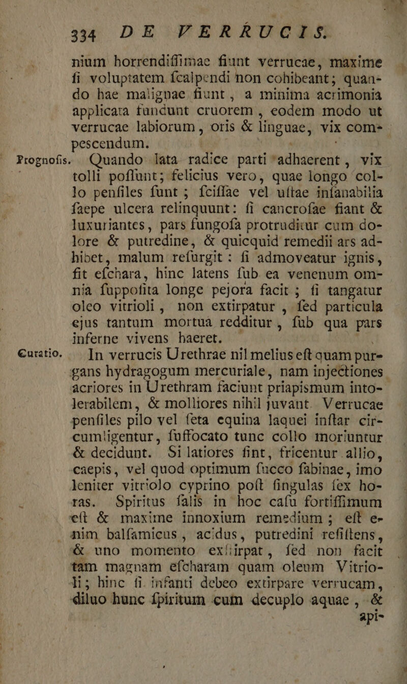 3344 DE PERRUGCLAS nium horrendiífimae fiunt verrucae, maxime fi voluptatem ícalpendi non cohibeant ; quan- do hae malignae fiunt, a minima acrimonia applicata fundunt cruorem , eodem modo ut verrucae labiorum , oris &amp; linguae, vix com. - pescendum. | Ptognofis. Quando lata radice parti müheoieit. vix tolli poflunt; felicius vero, quae longo col- lo penfiles funt 5 fciflae vel ultae inianabitia faepe ulcera relinquunt: fi cancrofae fiant &amp; luxuriantes, pars fungofa protrudicur cum do- lore &amp; putredine, &amp; quicquid remedii ars ad- hibet, malum refurgit : fi admoveatur ignis, fit efchara, hinc latens fub ea venenum om- nia fappofita longe pejora facit ; fi tangatur oleo vitrioli , non extirpatur , fed particula ejus tantum mortuá redditur, füb qua pars inferne vivens haeret. €uitio. — [n verrucis Urethrae nil melius eft auam pur- gans hydragogum mercuriale, nam injectiones ácriores in Urethram faciunt priapismum into- lerabilem, &amp; molliores nihil juvant. Verrucae penfiles pilo vel feta equina laquei inftar cir- cumligentur, fuffocato tunc collo moriuntur &amp; decidunt. 5i latiores fint, fricentur allio, caepis, vel quod optimum fucco fabinae, imo leniter vitiolo cyprino poít fingulas fex ho- : ras. Spiritus falis in hoc cafu fortiffimum eft &amp; maxime innoxium remedium ; efl e- . jim balfamicus , acidus, putredini refittens , &amp; uno momento ex/irpat, fed non facit tam magnam efcharam quam oleum Vitrio- Hi; hinc fi. infanti debeo exürpare verrucam, diluo hunc fpiritum cum decuplo aquae , &amp; api-