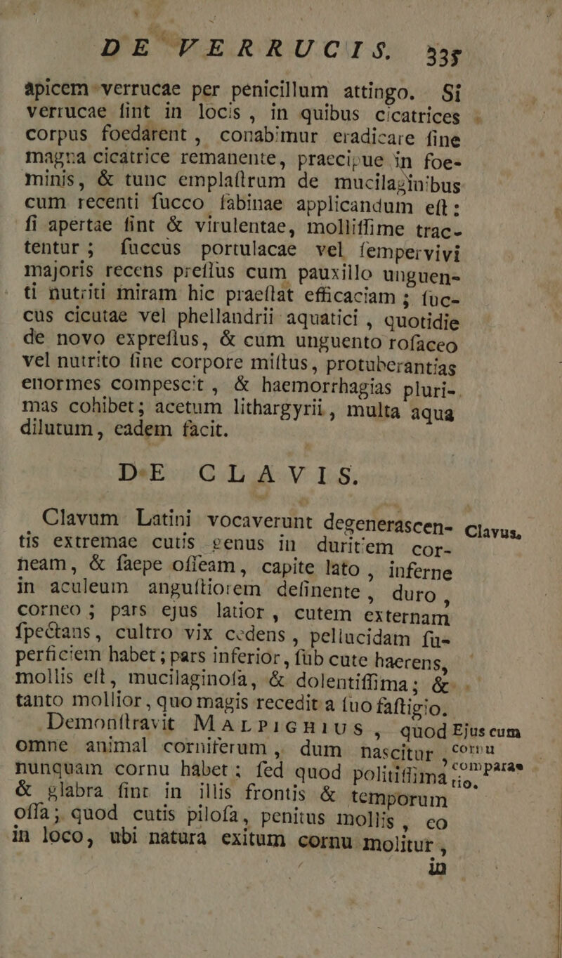 * DE VERRUCIS y apicem verrucae per penicillum attingo. Si verrucae fint in locis, in quibus cicatrices - corpus foedarent, conabimur eradicare fine magra cicatrice remanente, praecipue in foe- minis, &amp; tunc emplaílrum de mucilazinibus cum recenti fucco [abinae applicandum eft: fi apertae fint &amp; virulentae, molliffime trac- tentur; fuccus portulacae vel fempervivi majoris recens preílus cum pauxillo unguen- ti nutriti miram hic praeflat efficaciam 5. füc- cus cicutae vel phellandrii- aquatici , quotidie de novo expreflus, &amp; cum unguento rofaceo vel nutrito fine corpore miítus, protuberantiag enormes compescit , &amp; haemorrhagias pluri-. mas cohibet; acetum lithargyrii, multa aqua dilutum, eadem facit. De Gu 5. Clavum Latini vocaverunt degenerascen- Clavus, tis extremae cutis genus in duritem cor- neam, &amp; íaepe offeam, capite lato , Inferne in aculeum anguíliorem definente , duro , corneo ; pars ejus latior, cutem externam fpectans, cultro vix cedens, peliucidam fu- perficiem habet ; pars inferior , füb cute haerens, mollis eft, mucilaginofa, &amp; dolentifflma; &amp;-.. tanto mollior , quo magis recedit a (no faftigio. Demonttravit MArPiIGBi1US, quod Ejus cum omne animal corniterum ,, dum nascitur , oru á A me comparae nunquam cornu habet; fed quod politiflima tio. &amp; glabra fint in illis frontis &amp; temporum offa; quod cutis pilofa, penitus mollis , €O in loco, ubi natura exitum cornu molitur ;