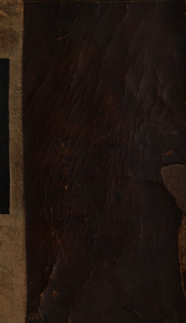 No text description is available for this image