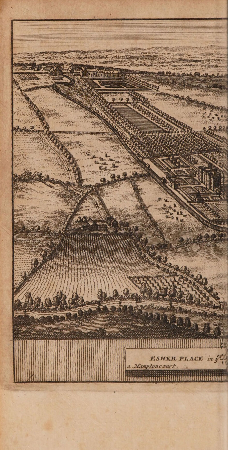 TNT TER ÉSHER PLACÉ in f C9 a Hamptoncourt. 14