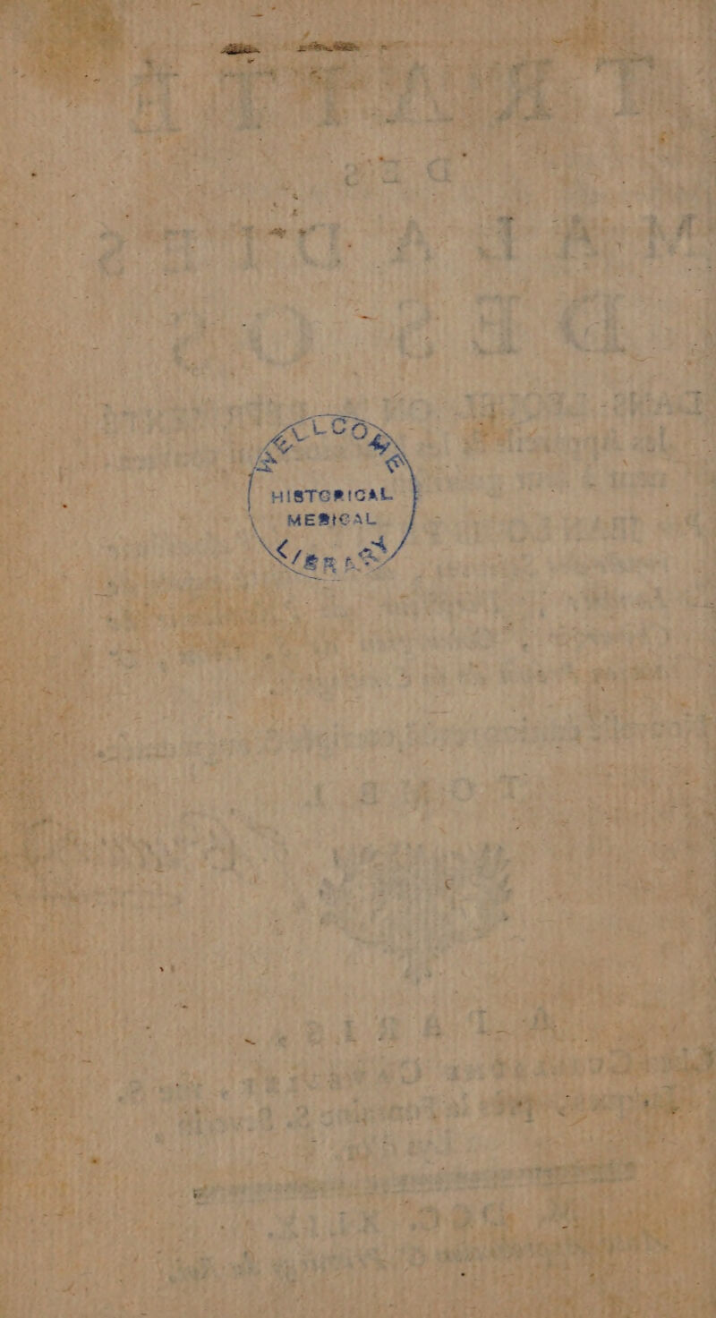 As 1 4 Ste NS +. ER PONT PEL NT NES FUEL | BEA He ta Las x (à tip L AT mr HART * Ë nt F ' k 2 ki 14 : 4x LR a. HTESRS 3 Li 3 Lie DE let nl (a Er TL She LE £ 74 p = | HOMMES sé Ne He 5e IR Ar 115 L r n HS A CHE APR RE Ve par net . ne nn T2 $ v y Te : ‘ = 2 &amp; CL A 7 Ve, As à 2) rites)