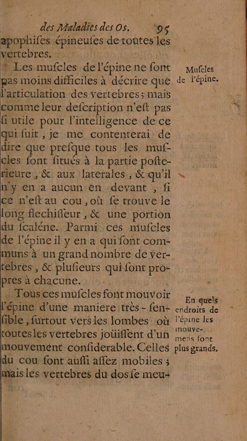 apophifes épineules detoûtes les : vertebres, : * Les mufcles de l'épine ne Lie Mufcles pas moins difficiles à décrire que de LAS l'articulation des vertebres; mais comme leur defcr ription n'eft pas fi utile pour l'intelligence de ce qui fuit , je me contenterai de dire que preique tous les muf- cles font fitués à la partie poite- AE meure, &amp; aux latérales, &amp; quil ly en a aucun en ‘devant , fi ce neft au cou ,où fe trouve le long flechifleur , &amp; une portion du fcaléne. Parmi ces mufcles de: épine il y ena qui font com- muns à un grand nombre dé ver- tebres, &amp; plufieuts qui font pro- pres * D ou | - . Tous ces mufcles font mouvoir a cuit l'épine d'une maniere très-fént endroits de fible , furtout versies lombes où l'épine Les toutésles vertebres joüiffent d’un eo mouvemént confiderable. Celles plus grands. du cou font auffi affez mobiles 3 mais les vertebres du dosife meu: