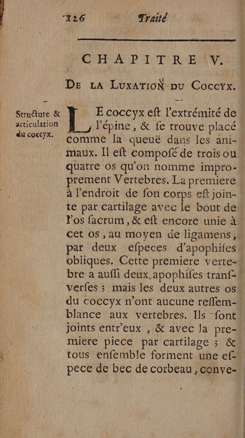 _— Structure &amp; articulation du coccyx. ‘126 are IGHAPITRENV DE LA Loxariok-ou Coccyx. E coccyx eft l'extrémité de. l’épine , &amp; {e trouve placé comme la queuë dans les ani-* maux. Il eft compofé de trois ou. quatre os qu’on nomme impro-. prement Vertebres. La premiere à l'endroit de fon corps ef join- los facrum , &amp; eft encore unie à. cet os , au moyen de ligamens ,: par deux efpeces d’ apophifes obliques. Cette premiere verte-# bre a aufli deux. apophifes tranf-# verfes ; mais les deux autres os du coccyx n'ont aucune reffem-» blance aux vertebres. Ils font joints entreux , &amp; avec la pre- mière piece par cartilage ; &amp;! tous enfemble forment une ef- pece de bec de corbeau , conve-.