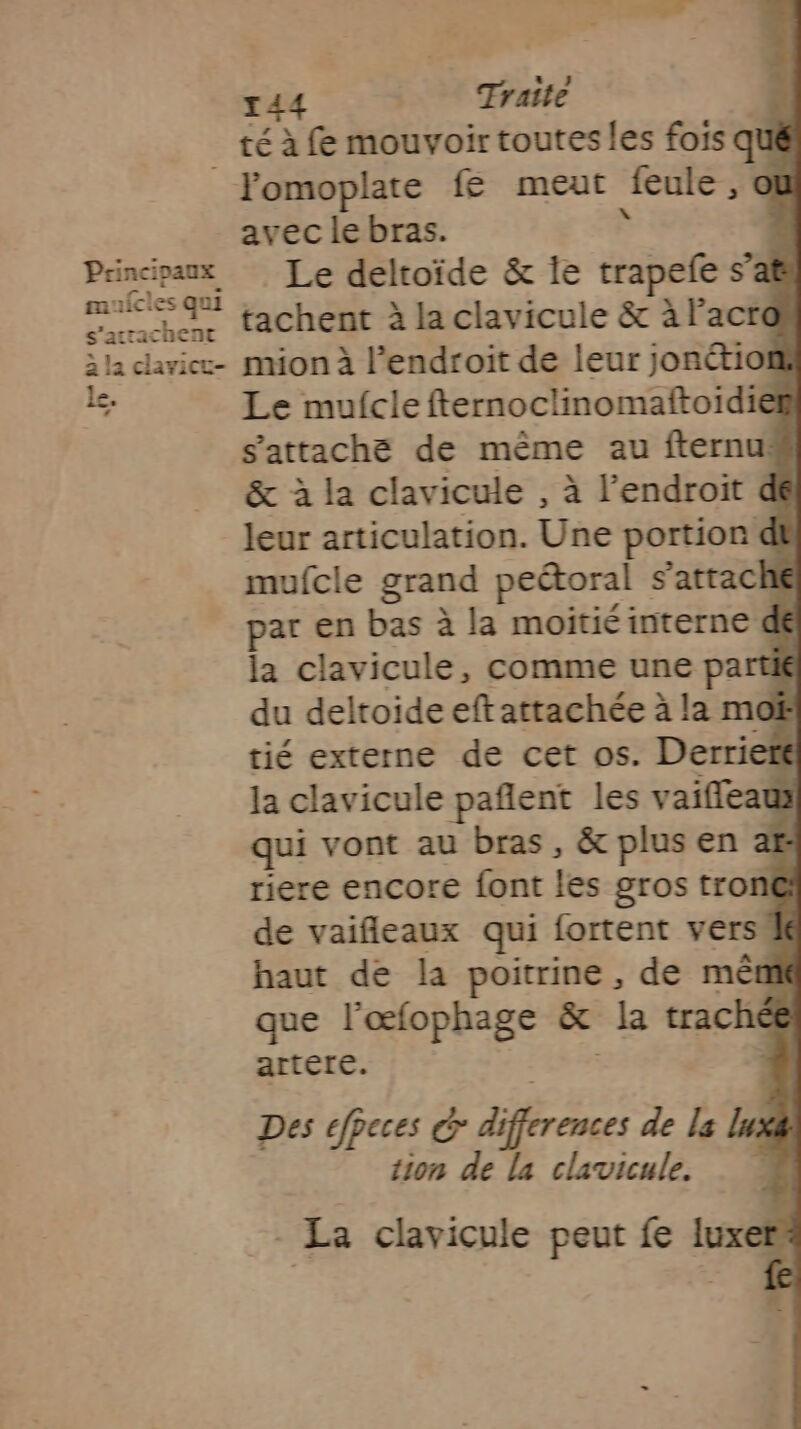 Principaux mufcles qui s’atrachent à la clavicy- le. ‘ x 44 | Traite té à fe mouvoir toutes les fois qui avec le bras. Le deltoïde &amp; Île trapefe s’at tachent à la clavicule &amp; à Facro mion à l'endroit de leur jonétiot Le mufcle fternoclinomaftoidien s'attaché de même au fternu# &amp; à la clavicule , à l'endroit dé leur articulation. Une portion dv mufcle grand peétoral s’attac 1€ par en bas à la moitié interne de la clavicule, comme une partié du deltoide eft attachée à la moË tié externe de cet os. Derriett la clavicule pañlent les vaifleaux qui vont au bras, &amp; plus en 28 riere encore font les gros tron de vaifleaux qui fortent vers“ haut de la poitrine , de mêm que l'œfophage &amp; la trachée artere. Des cfpeces C différences de l3 tion de la clavicule. - La clavicule peut fe luxer.