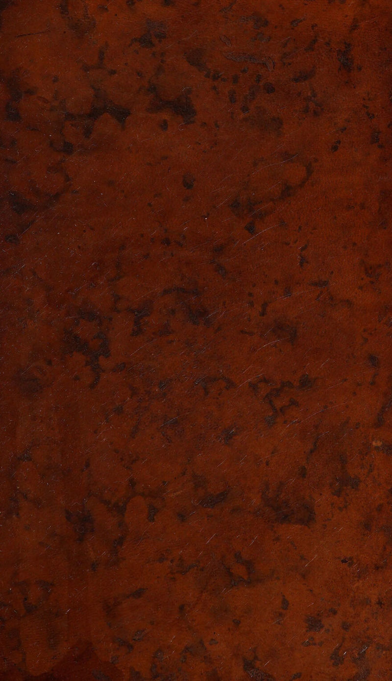 No text description is available for this image