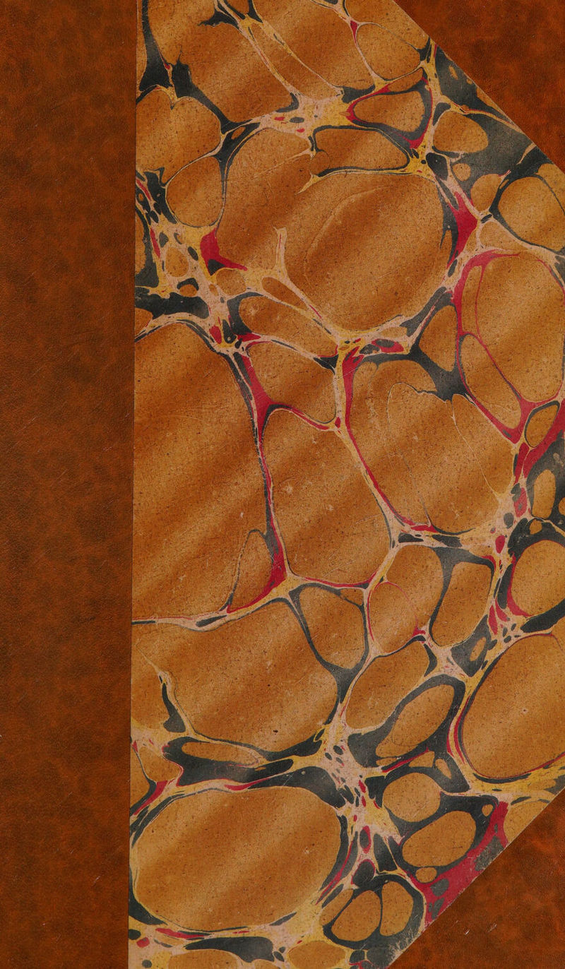 No text description is available for this image