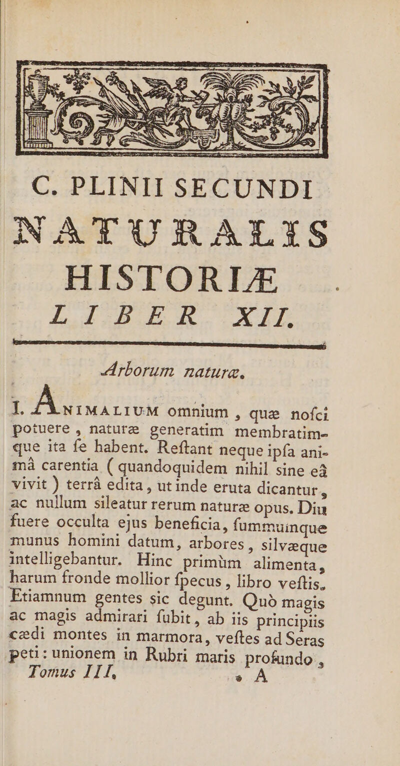 C. PLINII SECUNDI NATURAILIS HISTORI/E LIBER XII. rborum natura. I. 7; LT omnium , que nofci potuere , nature generatim membratim- que ita fe habent. Reftant neque ipfa ani- mà carentia ( quandoquidem nihil sine e3 vivit ) terrà edita, utinde eruta dicantur, ac nullum sileatur rerum naturze opus. Diu fuere occulta ejus beneficia, fummuinque munus homini datum, arbores, silveque intelligebantur. Hinc primim alimenta , harum fronde mollior fpecus , libro veftis, Etiamnum gentes sic degunt. Quo magis ac magis admirari fübit, ab iis principris cedi montes in marmora, veftes ad Seras peu:unionem in Rubri maris profundo, Tomus III, 