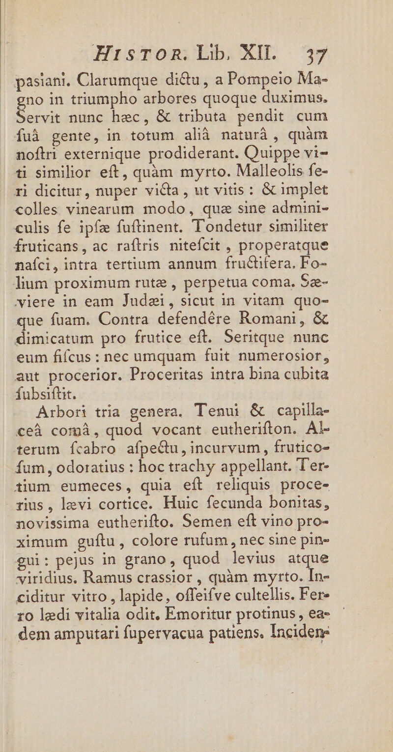 pasiani. Clarumque di&amp;u, a Pompeio Ma- gno in triumpho arbores quoque duximus. Servit nunc haec, &amp; tributa pendit cum fuà gente, in totum alià naturà, quàm noftri externique prodiderant. Quippe vi- ü similior eft, quàm myrto. Malleolis fe- ri dicitur, nuper victa , ut vitis : &amp; implet colles vinearum modo, quz sine admini- culis fe ipfa fuftinent. Tondetur similiter fruticans, ac raflris nitefcit , properatque nafci, intra tertium annum fructifera, Fo- lium proximum rute , perpetua coma. 5ae- yiere in eam Judaei, sicut in vitam quo- que fuam. Contra defendére Romani, &amp; dimicatum pro frutice eft. Seritque nunc eum fifcus : nec umquam fuit numerosior, aut procerior. Proceritas intra bina cubita fubsiftit. Arbori tria genera. Tenui &amp; capilla- ceà comi, quod vocant eutherifton. Al- terum fcabro afpeCu, incurvum, frutico- fum, odoratius : hoc trachy appellant. Ter- tium eumeces, quia eíl reliquis proce- rius, levi cortice. Huic fecunda bonitas, novissima eutherifto. Semen eft vino pro- ximum gufítu, colore rufum, nec sine pin- gui: pejus in grano, quod levius atque viridius. Ramus crassior , quàm myrto. [n- ciditur vitro , lapide, offeifve cultellis. Fere ro ledi vitalia odit. Emoritur protinus , ea- dem amputari fupervacua patiens, Incidene