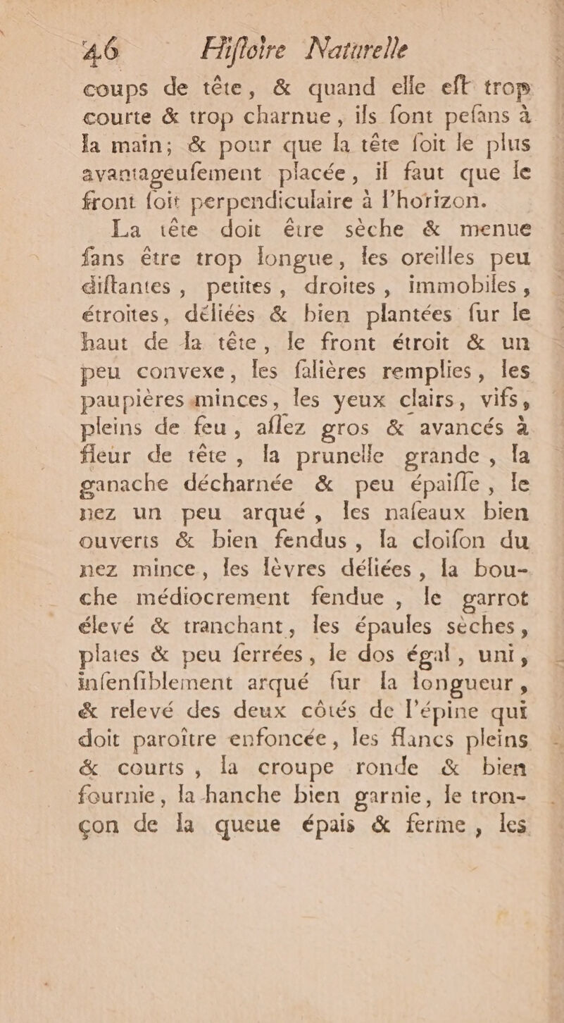 coups de tête, &amp; quand elle eft trop courte &amp; trop charnue, ils font pefans à la main; &amp; pour que la tête foit le plus avantageufement placée, il faut que le front {oit perpendiculaire à l’horizon. La tête doit être sèche &amp; menue fans être trop longue, Îles oreilles peu diftantes , petites, droites, immobiles, étroites, déliées &amp; bien plantées fur le haut de la tête, le front étroit &amp; un peu convexe, Îles falières remplies, les paupières minces, les yeux clairs, vifs, pleins de feu, aflez gros &amp; avancés à fleur de tête, la prunelle grande, la ganache décharnée &amp; peu épaifle, le nez un peu arqué, les nafeaux bien ouverts &amp; bien fendus, la cloifon du nez mince, les lèvres déliées, la bou- che médiocrement fendue , le garrot élevé &amp; tranchant, les épaules sèches, plates &amp; peu ferrées, le dos égal, uni, infenfiblement arqué fur la longueur, &amp; relevé des deux côtés de l’épine qui doit paroître enfoncée, les flancs pleins &amp; courts, la croupe ronde &amp; bien fournie, la hanche bien garnie, le tron- çon de la queue épais &amp; ferme, les