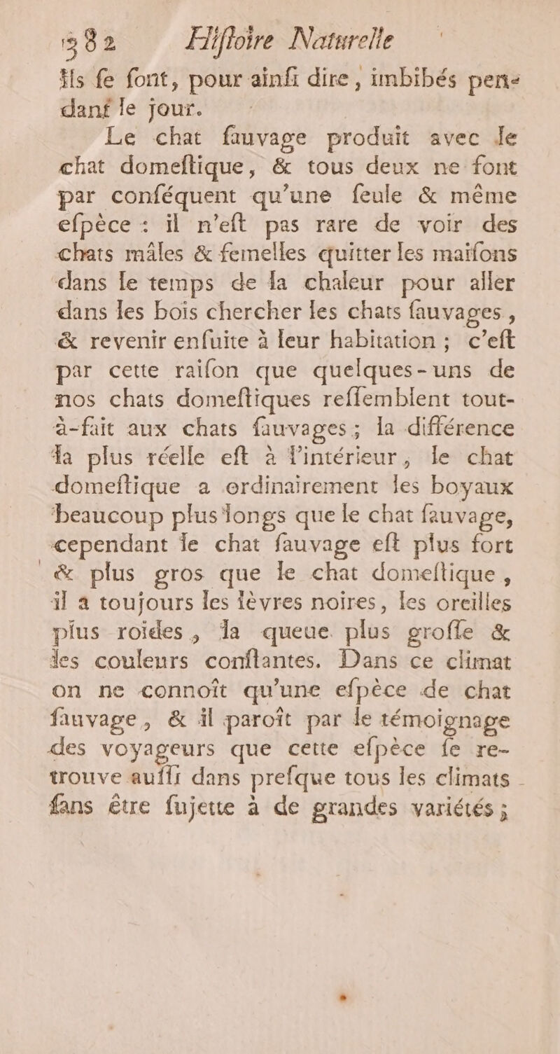 Hs fe font, pour ainfï dire, imbibés pen- danf le jour. Le chat fiuvage produit avec de chat domeftique, &amp; tous deux ne font par conféquent qu’une feule &amp; même efpèce : il n'eft pas rare de voir des chats mâles &amp; femelles quitter les maïfons dans le temps de fa chaleur pour aller dans les bois chercher les chats fauvages, &amp; revenir enfuite à leur habitation ; c’eft par cette raifon que quelques-uns de nos chats domeftiques reffemblent tout- à-fait aux chats fauvages; la différence 4 plus réelle eft à intérieur, Le chat domeftique a ordinairement les boyaux ‘beaucoup plus longs que le chat fauvage, cependant Îe chat fauvage eft plus fort &amp; plus gros que le chat domeltique, il 4 toujours les lèvres noires, les oreilles plus roides, a queue plus grofle &amp; des couleurs conftantes. Dans ce climat on ne connoît qu'une efpèce de chat fauvage, &amp; il paroît par le témoignage des voyageurs que cette efpèce fe re- trouve aufli dans prefque tous les climats - fans être fujette à de grandes variétés ;