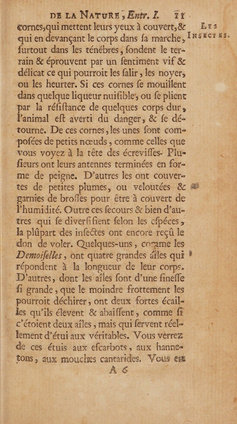 cornes,qui mettent leurs yeux à couvert,& Lus . qui en devançant le corps dans fa marche, INSECT E: furtout dans les ténébres, fondent le ter- rain & éprouvent par un fentiment vif & délicat ce qui pourroit les falir , les noyer; ou les heurter. Si ces cornes fe mouillent dans quelque liqueur nuifible', ou fe plient par la réfiftance de quelques corps dur, ‘ Panimal eft averti du danger, & fe dé- tourne. De ces cornes, les unes font com -pofées de petits nœuds ; comme celles que | vous voyez à la tête des écrevifles- Piu= NL fieurs ont leurs antennes terminées en for- me de peigne. D’autres les ont couver- tes de petites plumes, ou veloutées & garnies de broffes pour être à couvert de * l'humidité. Outre ces fecours & bien d’au- “tres qui fe diverfifient felon les cfpéces ; la plüpart des infeétes ont encore reçü le don de voler. Quelques-uns , can les Demoifelles ; » Ont quatre grandes 4 ailes qui * Eu. répondent à la longueur de leür corps. : D'autres, dont les aîles font d’une finefle _ fi grande , que le moindre frottement les pourroit déchirer ; ont deux fortes écail- des qu’ils élevent & abaiffent, comme fa . c’étoient deux aîles , mais qui fervent réel ce - Îement d’étui aux véritables. Vous verrez :. de ces étuis aux efcarbots, aux hannes tons, aux mouches cantarides. Vous est