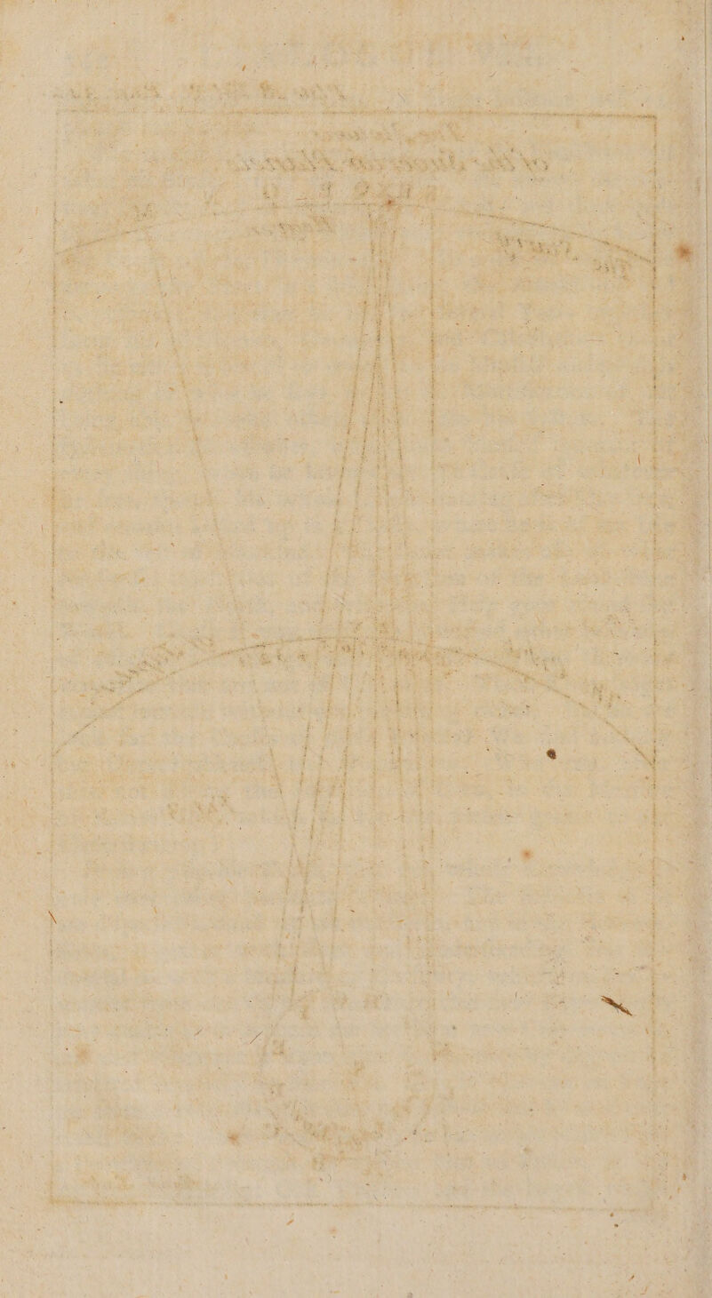 \ Saag Co aa ~ “ye jo en pr + ne A CL N NE ane na : CARE r PT avs aa pe es i 1 ha A La A, s = A 2 \ Ma