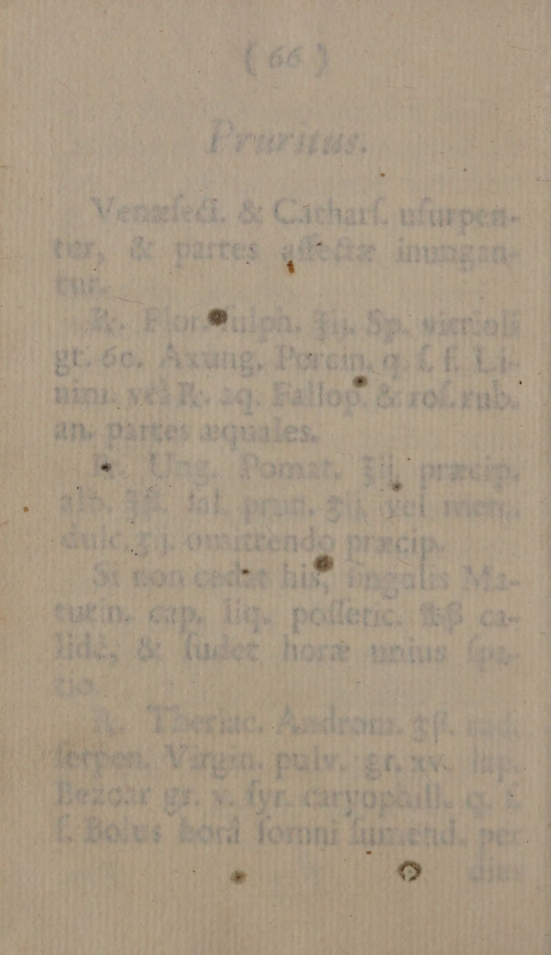 UP rüritus. 22 xdi miu Ü ; i ap m üpiilag M n^ nm uud in hr aquae Mud du uU ye HT s ho Aij omuttendo pra Us red Don T SIS Ma. i ek 3idà, det. t nid bene Ape Z — e - TELLE MP UOamerT—ment EDT